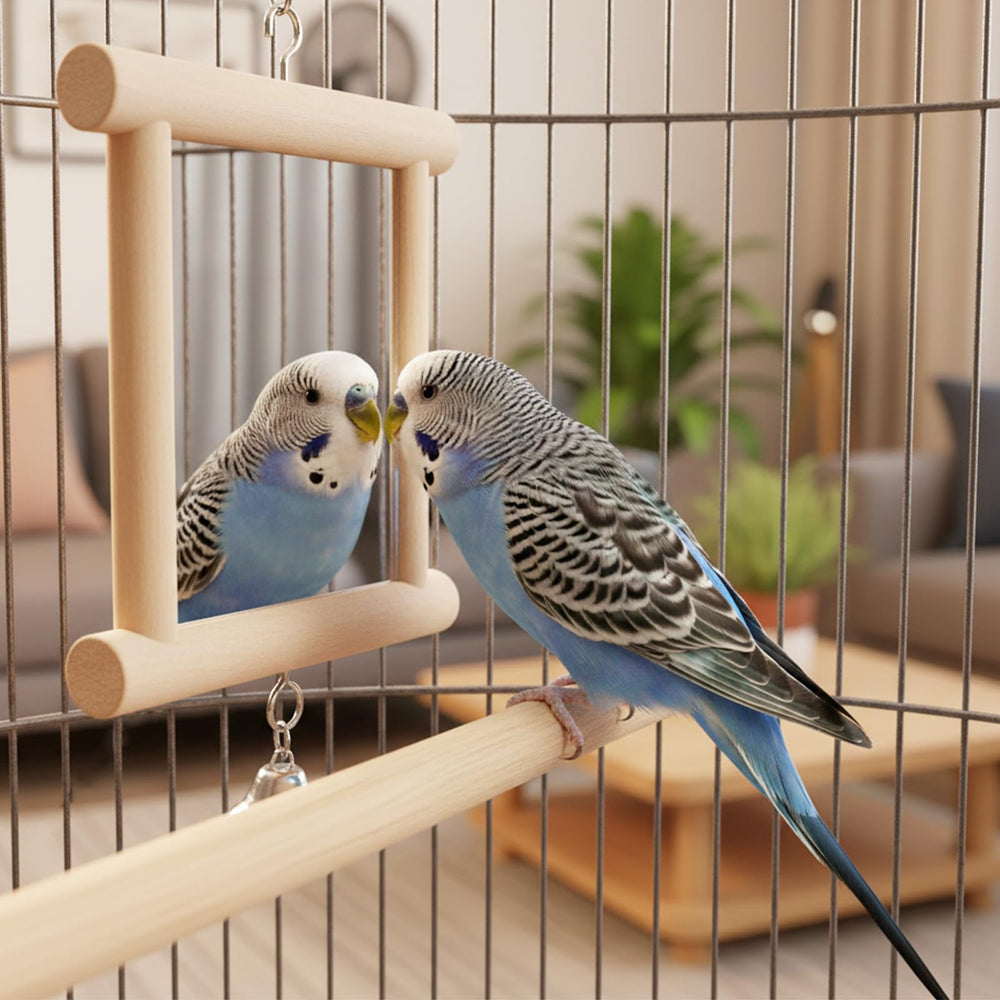 Miroir d'oiseau Hypeety robuste pour cage.