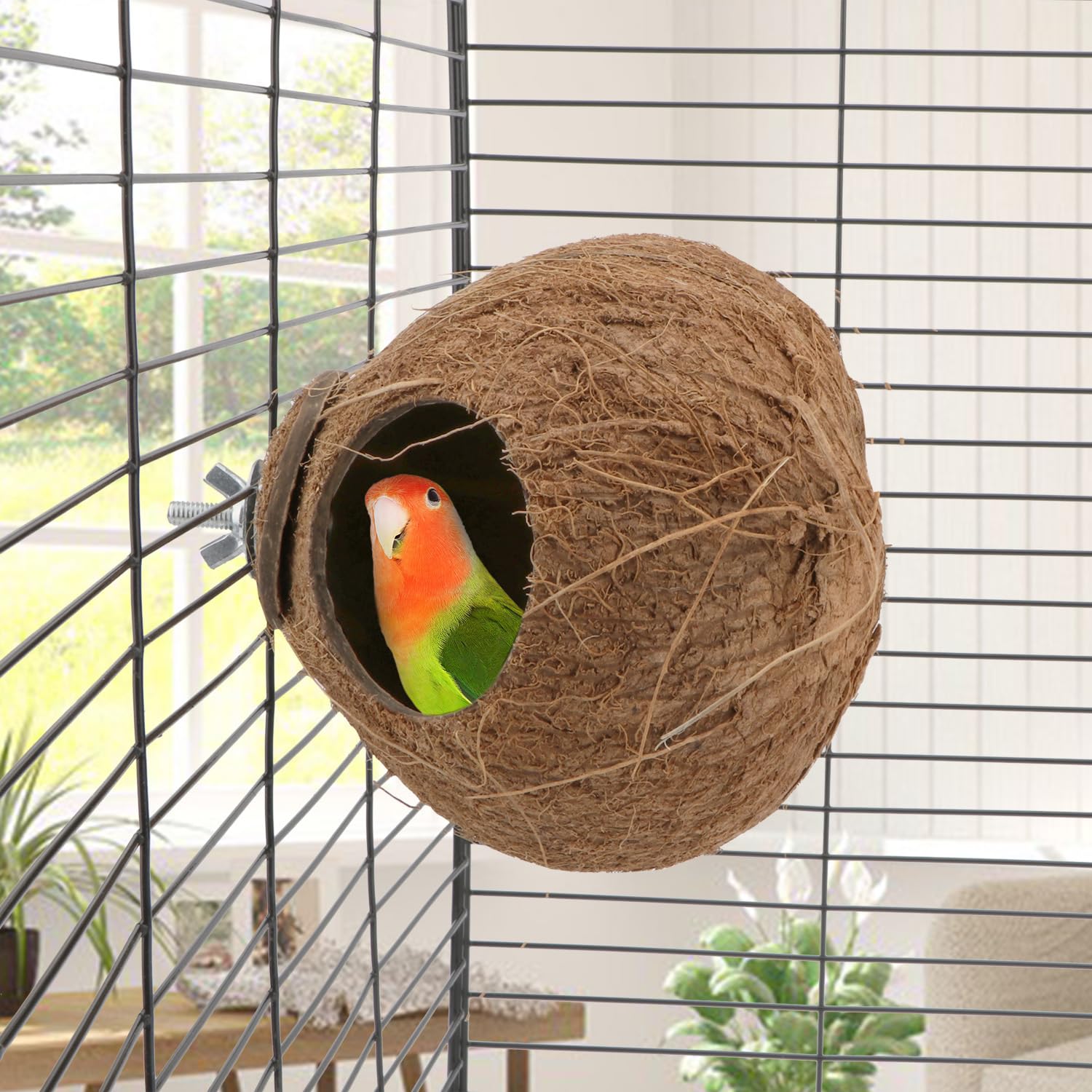 Nid coco Hypeety trou 2,17 pouces, accès sûr.