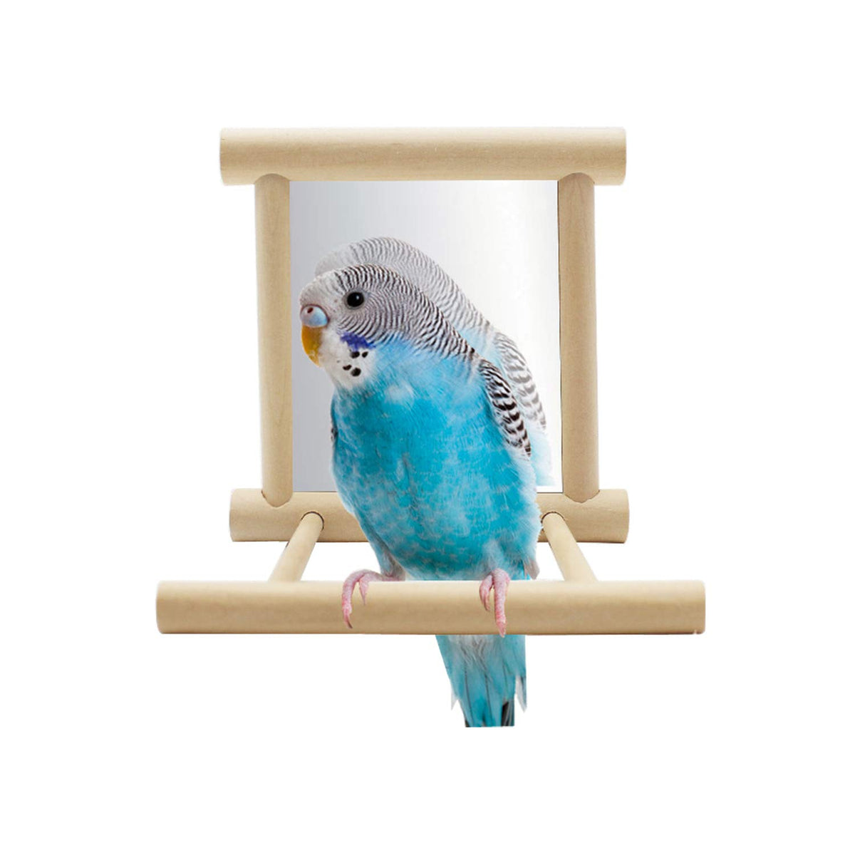 Hypeety miroir pour perroquet; jouet stimulant pour distraction et jeu en cage.