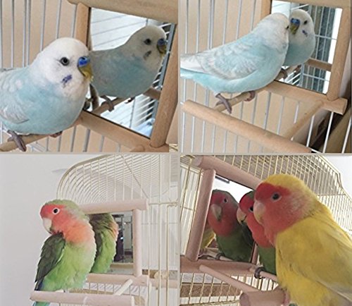 Matériau bois naturel résistant; jouet durable et sûr pour les petits oiseaux.