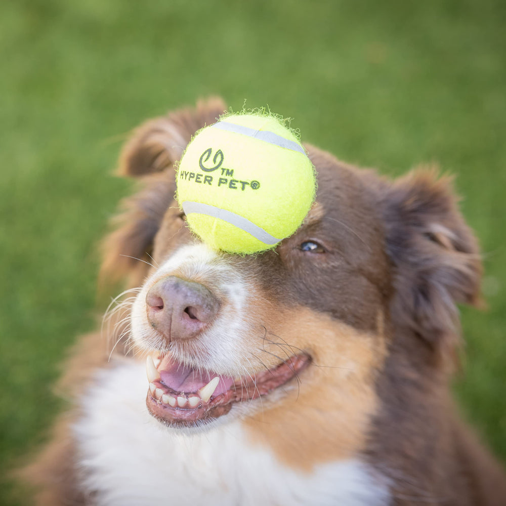 Hyper Pet balle-tennis pratique pour rangement après les sessions.