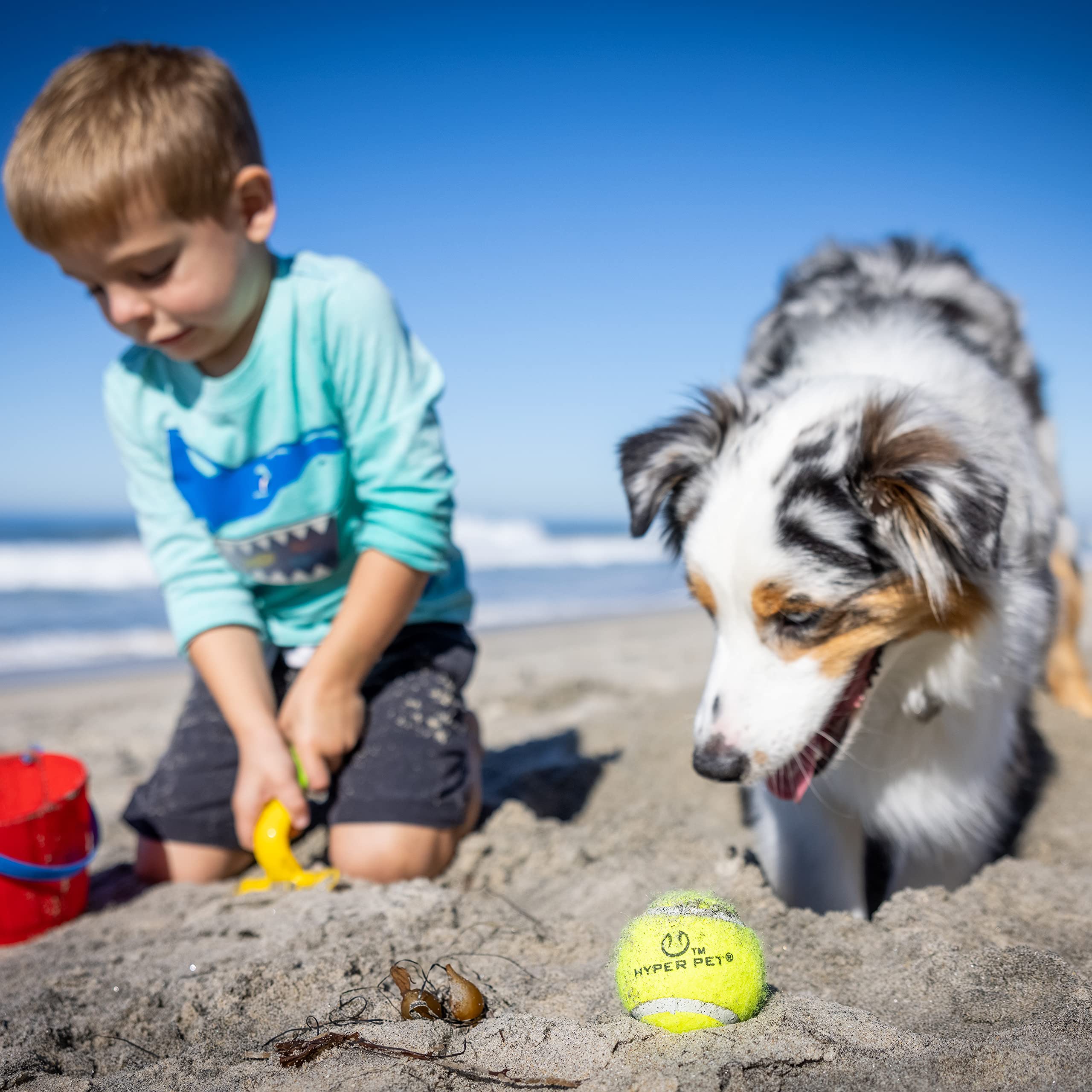 Hyper Pet balles-tennis visibles dans l'herbe pour le ramassage.