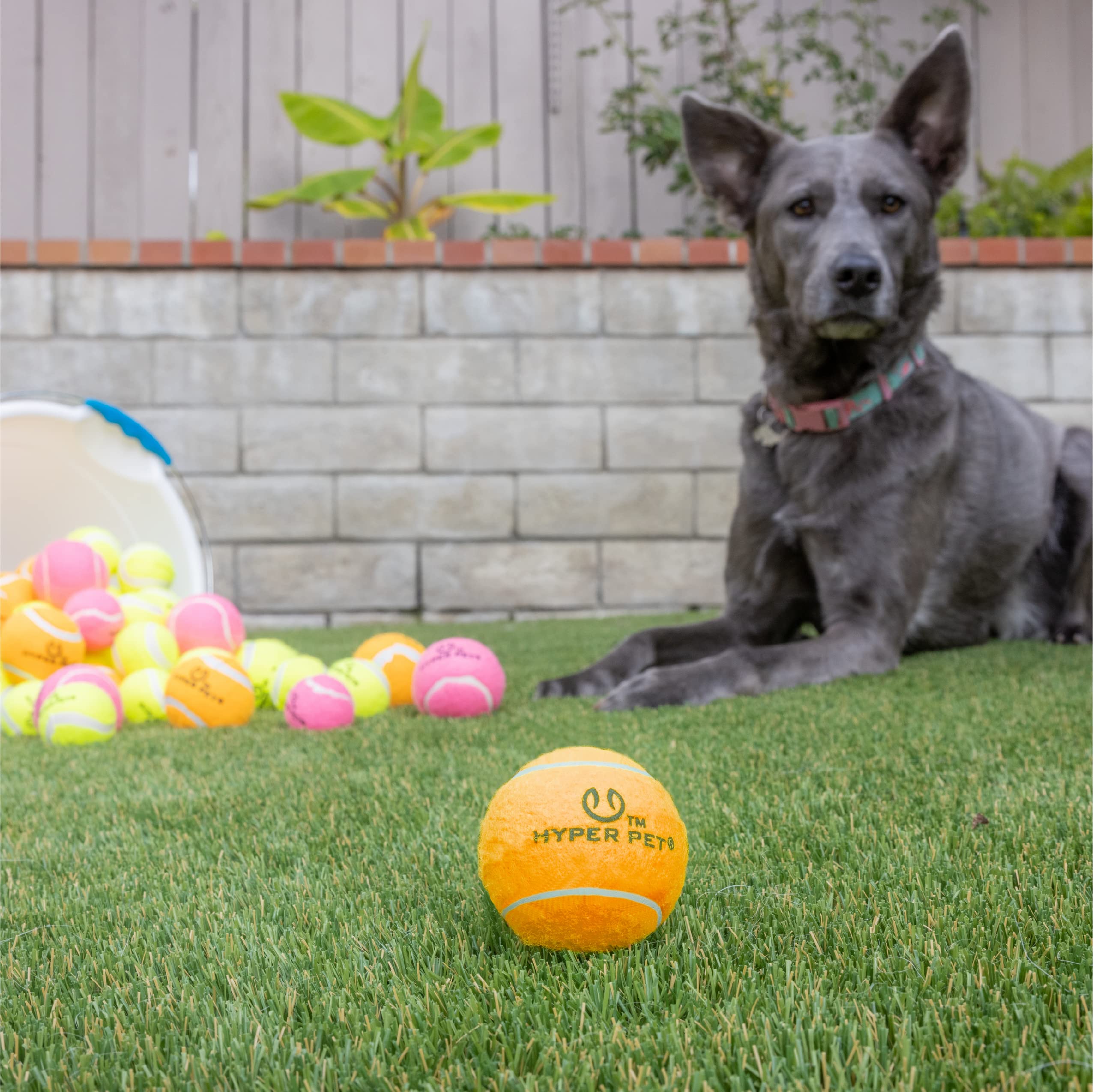 Hyper Pet Balles Tennis Flottantes, elles flottent à la surface pour les jeux aquatiques.
