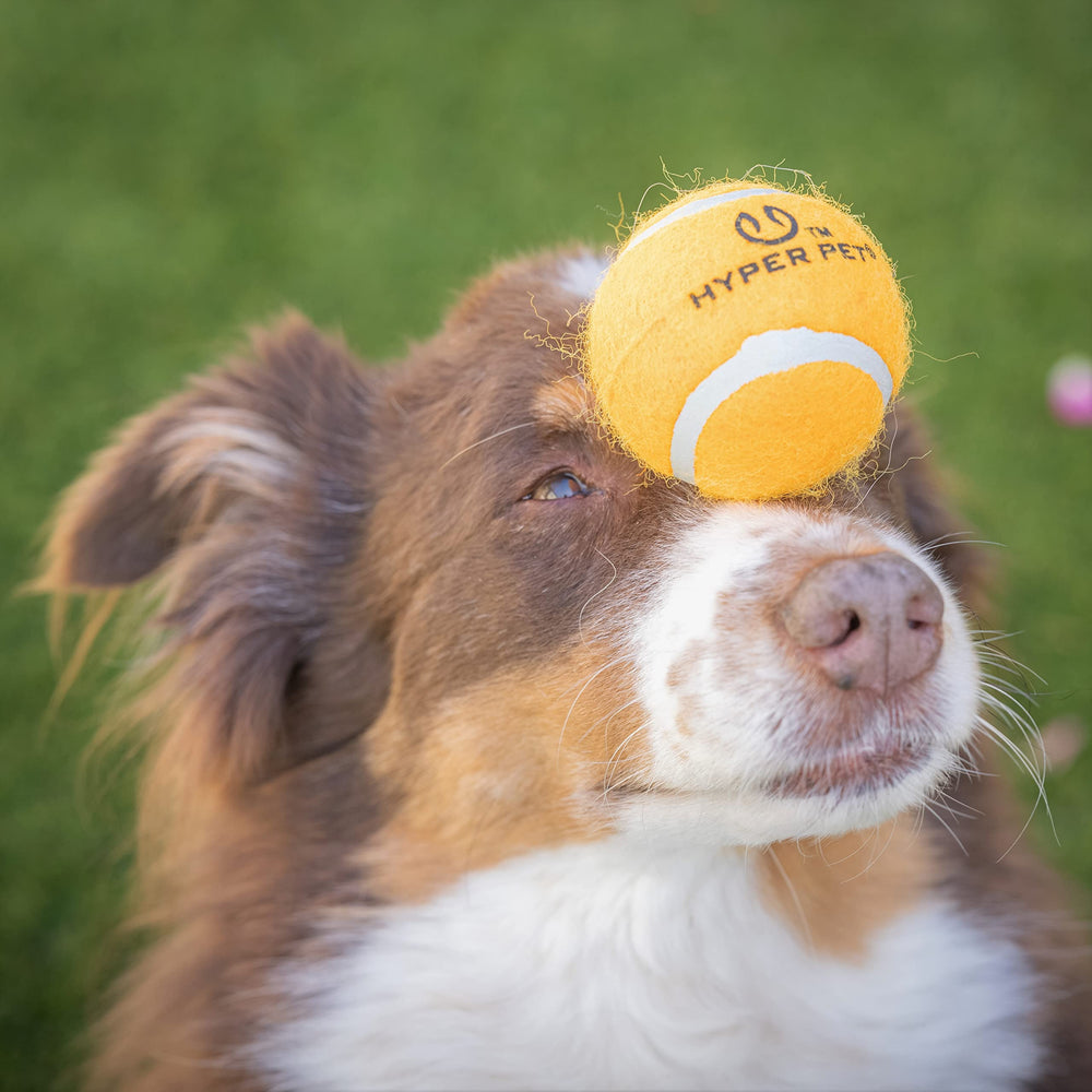 Balle Hyper Pet tennis robuste adaptée à l’entraînement avec lanceur.