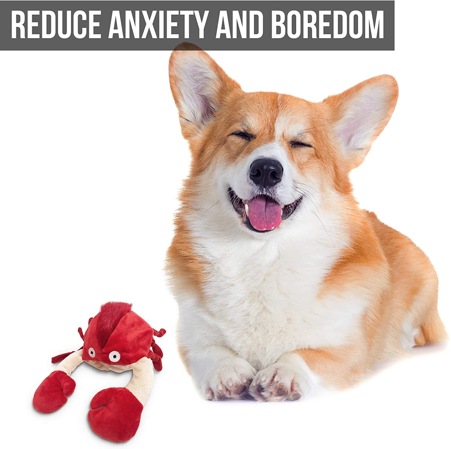Hyper Pet Doggie Pal piles incluses et prêt à jouer