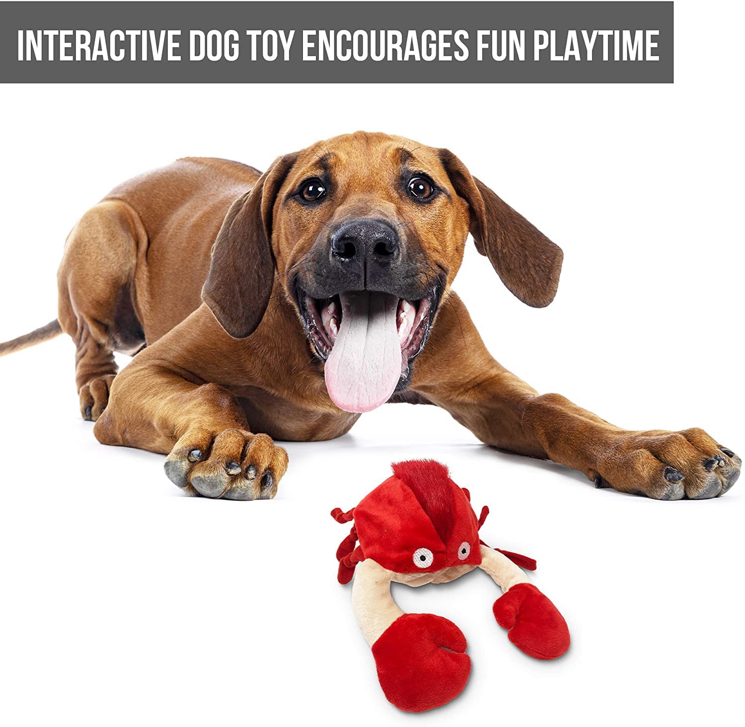 Hyper Pet Doggie Pal jeu en intérieur idéal pour chiens de toutes tailles
