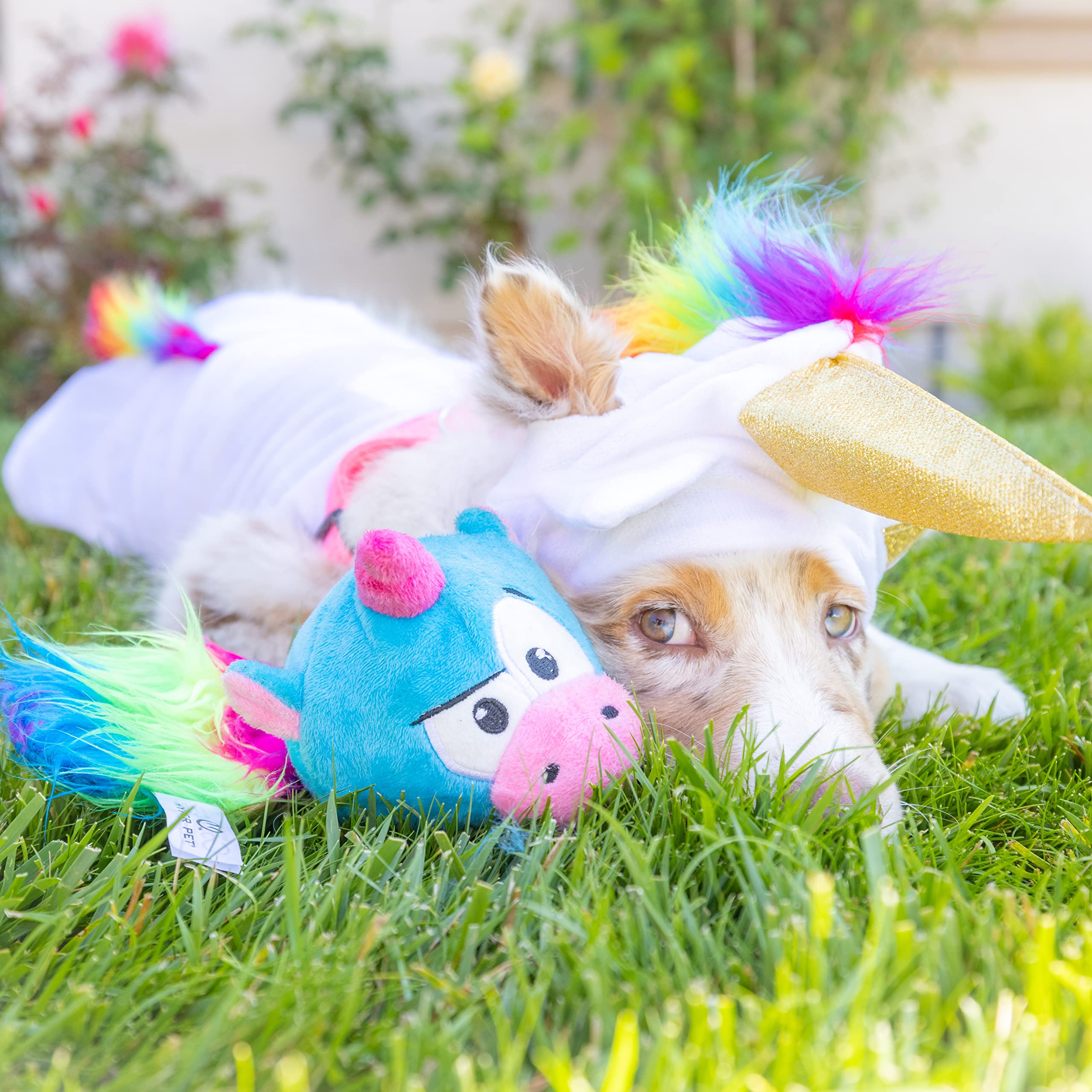 Hyper Pet Doggie Pal Unicorn, entretien simple et nettoyage léger.