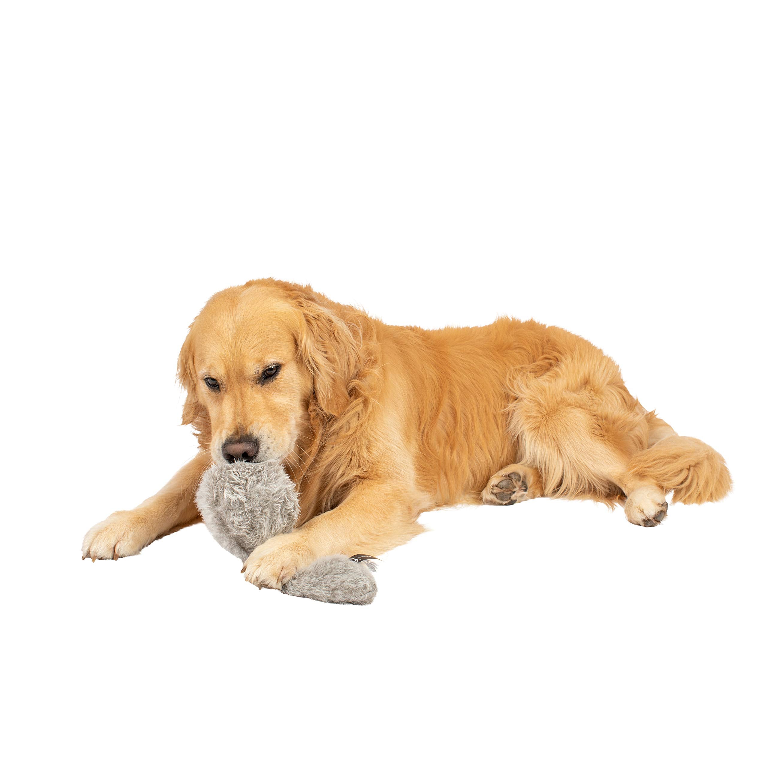 Hyper Pet Doggie Tail couleurs varient selon les stocks pour plus de divertissement.