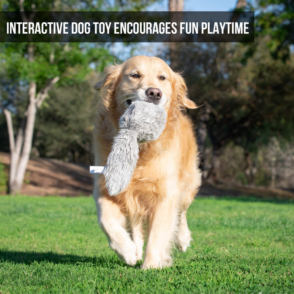 Hyper Pet Doggie Tail interrupteur sous capot facile a trouver et activer.