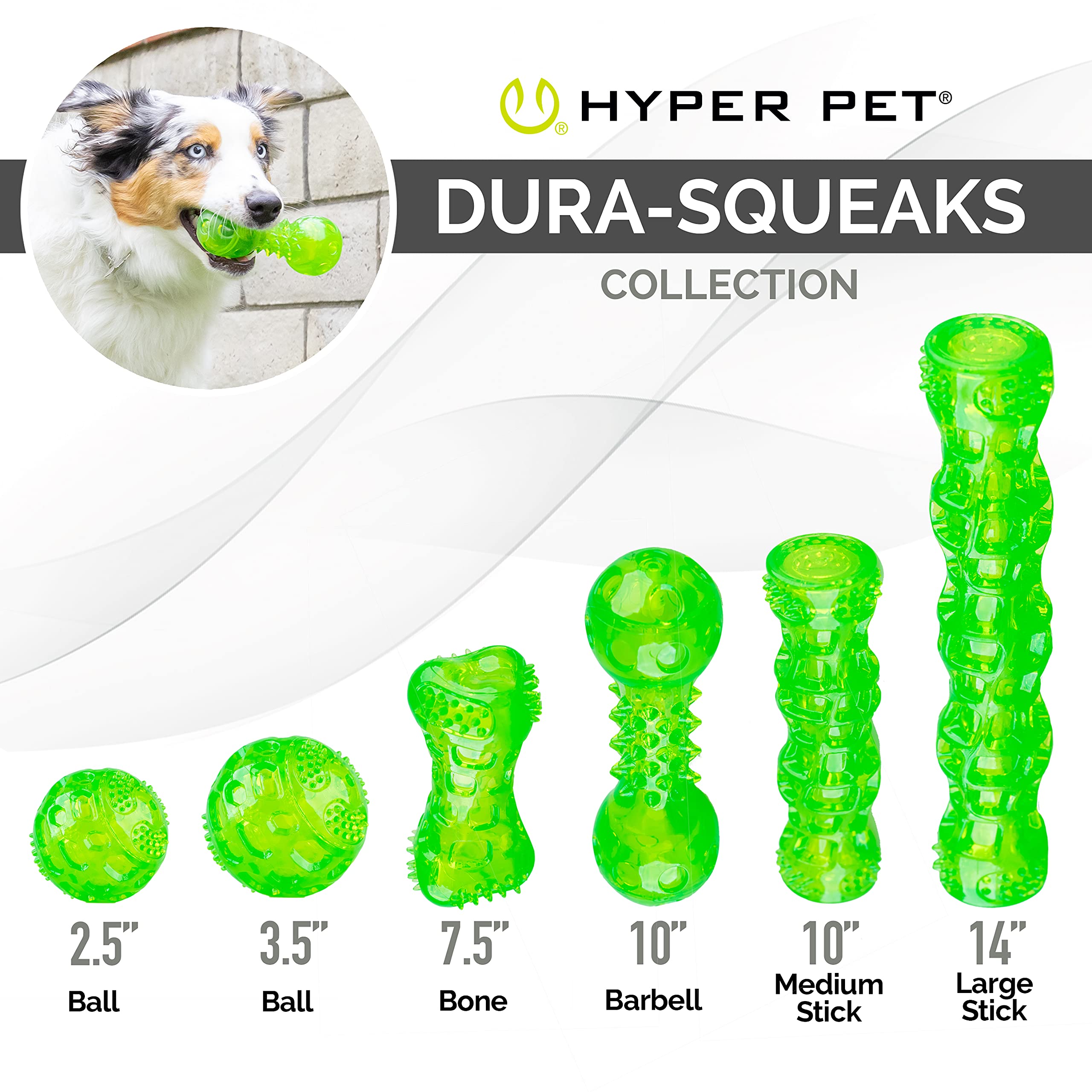 Couineur intégré Hyper Pet Dura-Squeaks Baton vert stimule l’intérêt du chien