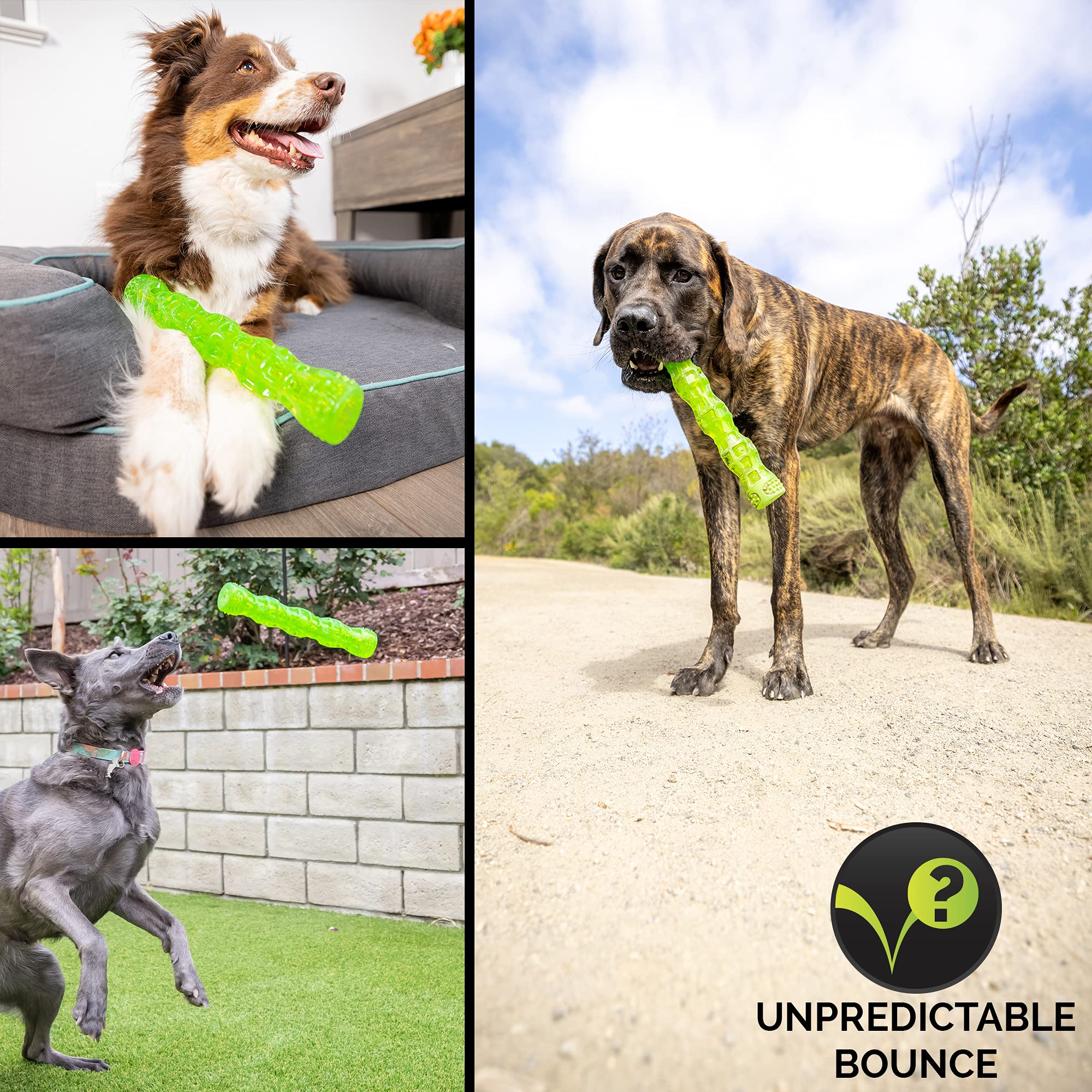 Rebond imprévisible du baton Hyper Pet Dura-Squeaks amuse les chiens longtemps