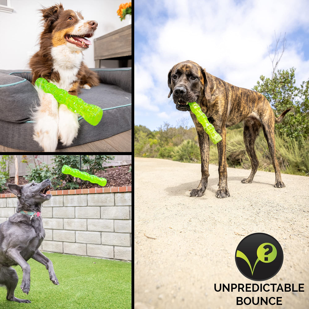 Rebond imprévisible du baton Hyper Pet Dura-Squeaks amuse les chiens longtemps