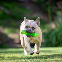 Hyper Pet DuraSqueaks rebond imprévisible pour stimuler l'intérêt du chien.