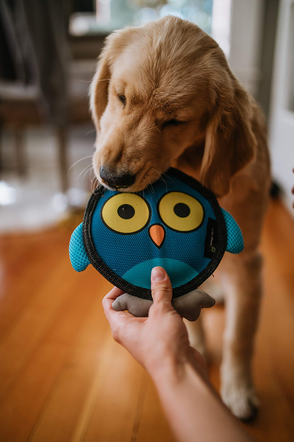 Sifflet intégré garantit un son clair qui stimule l’intérêt de votre chien