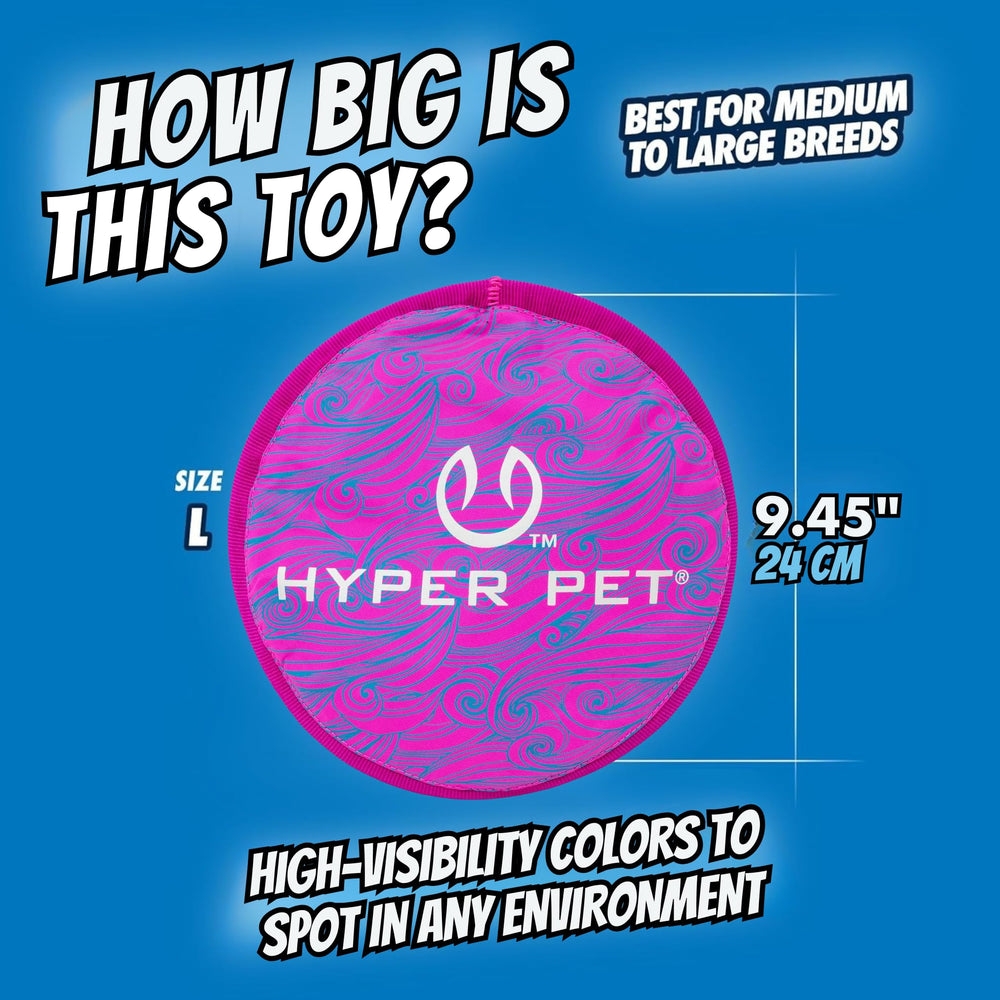 Hyper Pet Flippy Flopper design tourbillon violet visible au parc