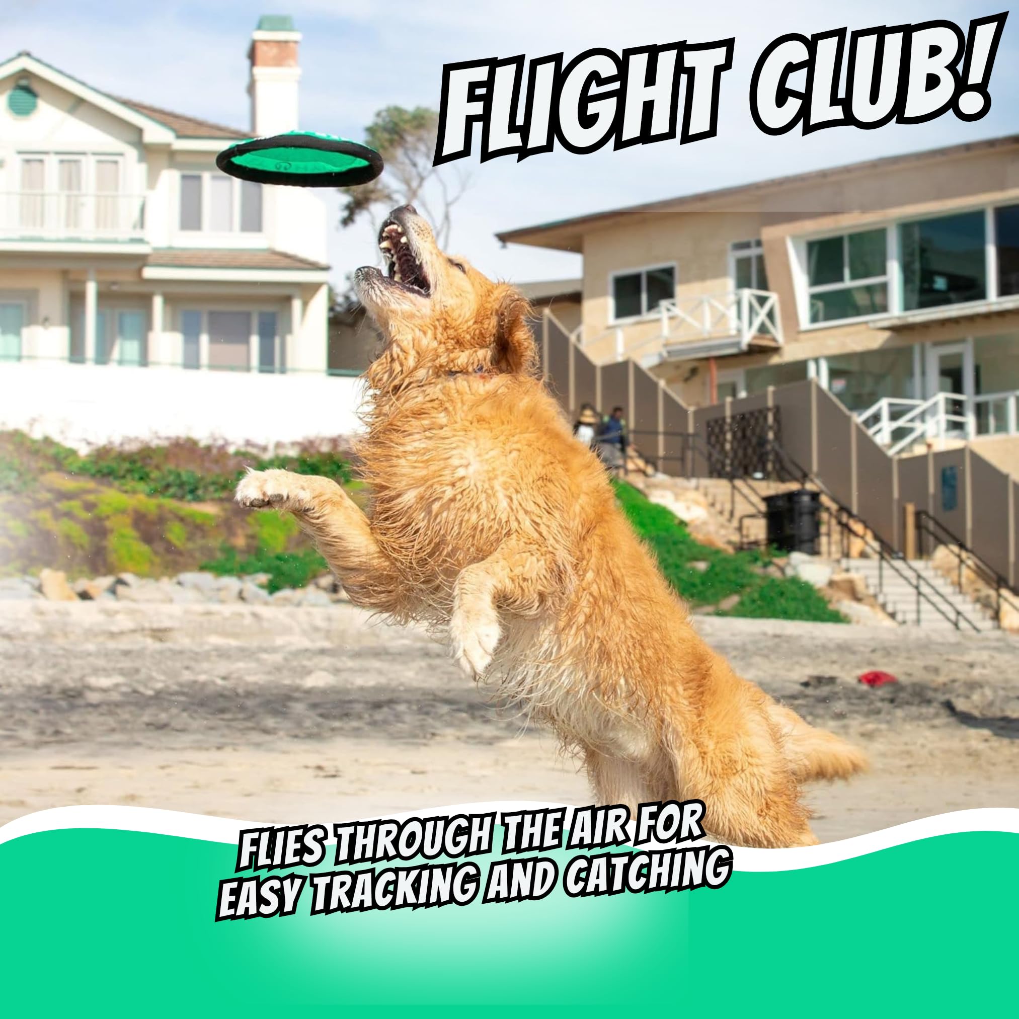 Hyper Pet Flippy Flopper frisbee chien vert, flotte sur l’eau pour des jeux aquatiques.