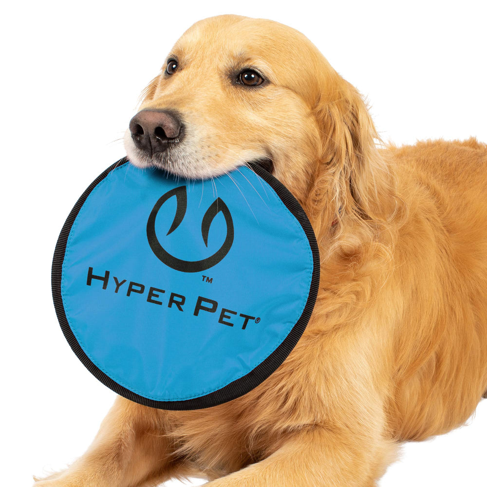 Jeu interactif Flippy Flopper Hyper Pet stimulant l’activité canine.