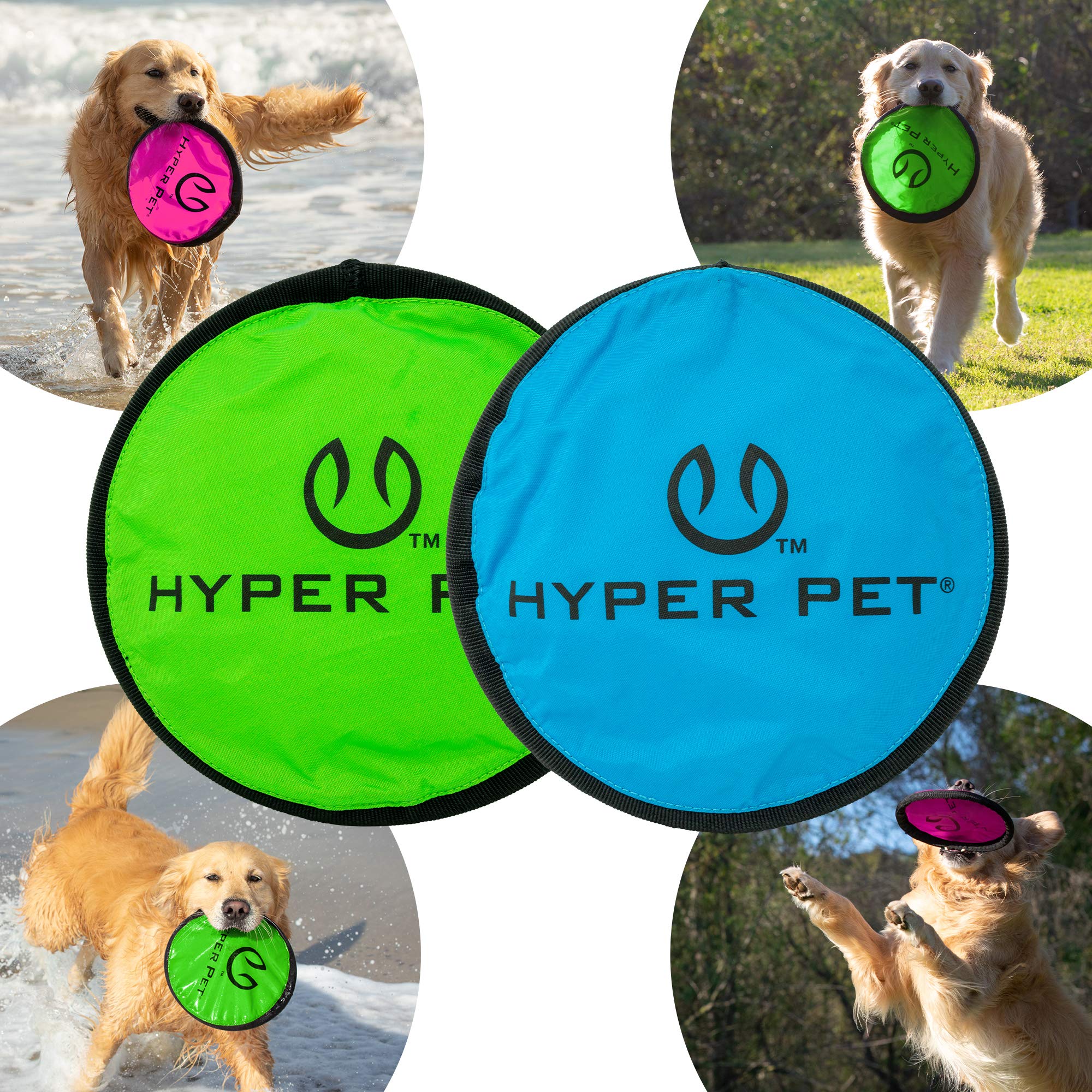 Lancer longue distance avec Flippy Flopper Hyper Pet, divertissement actif.