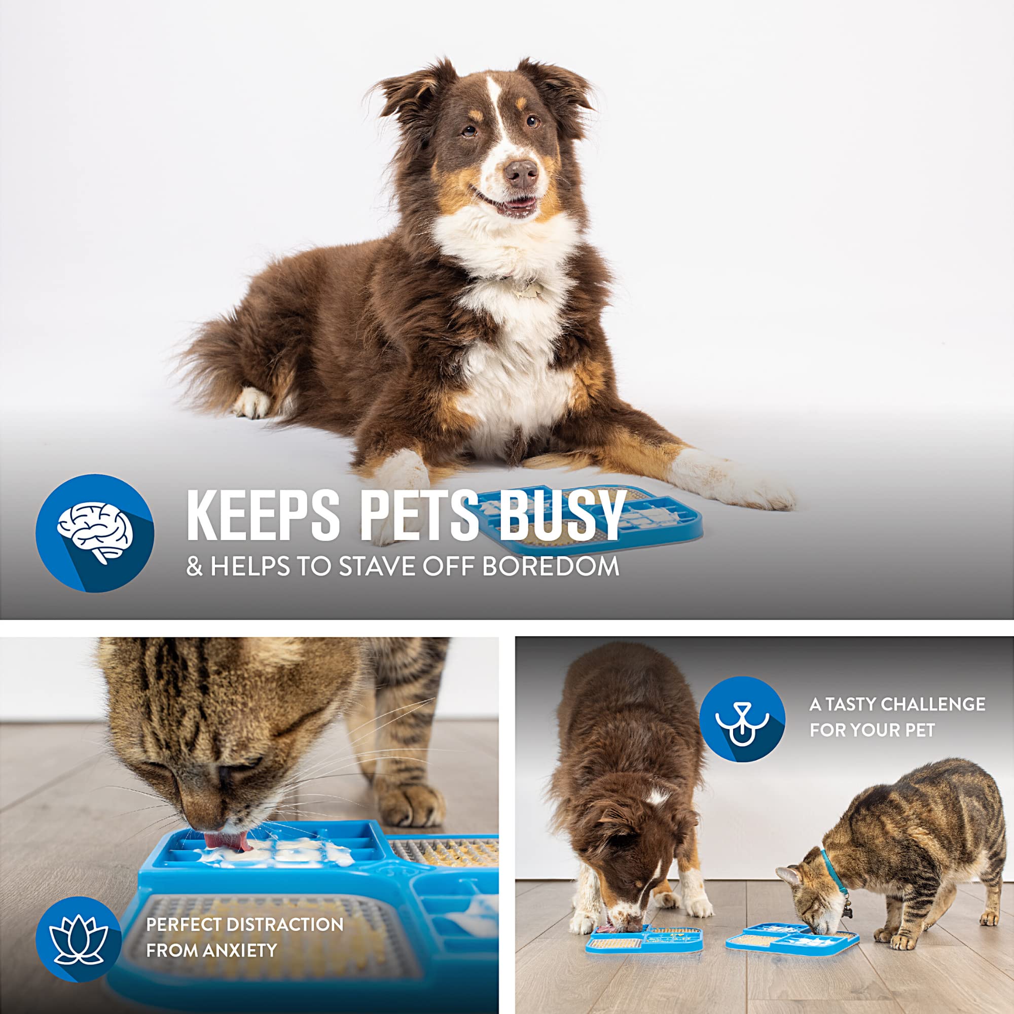 Hyper Pet IQ Treat Lick Mat chien en utilisation, ralentit l'alimentation et entretient l'activité.