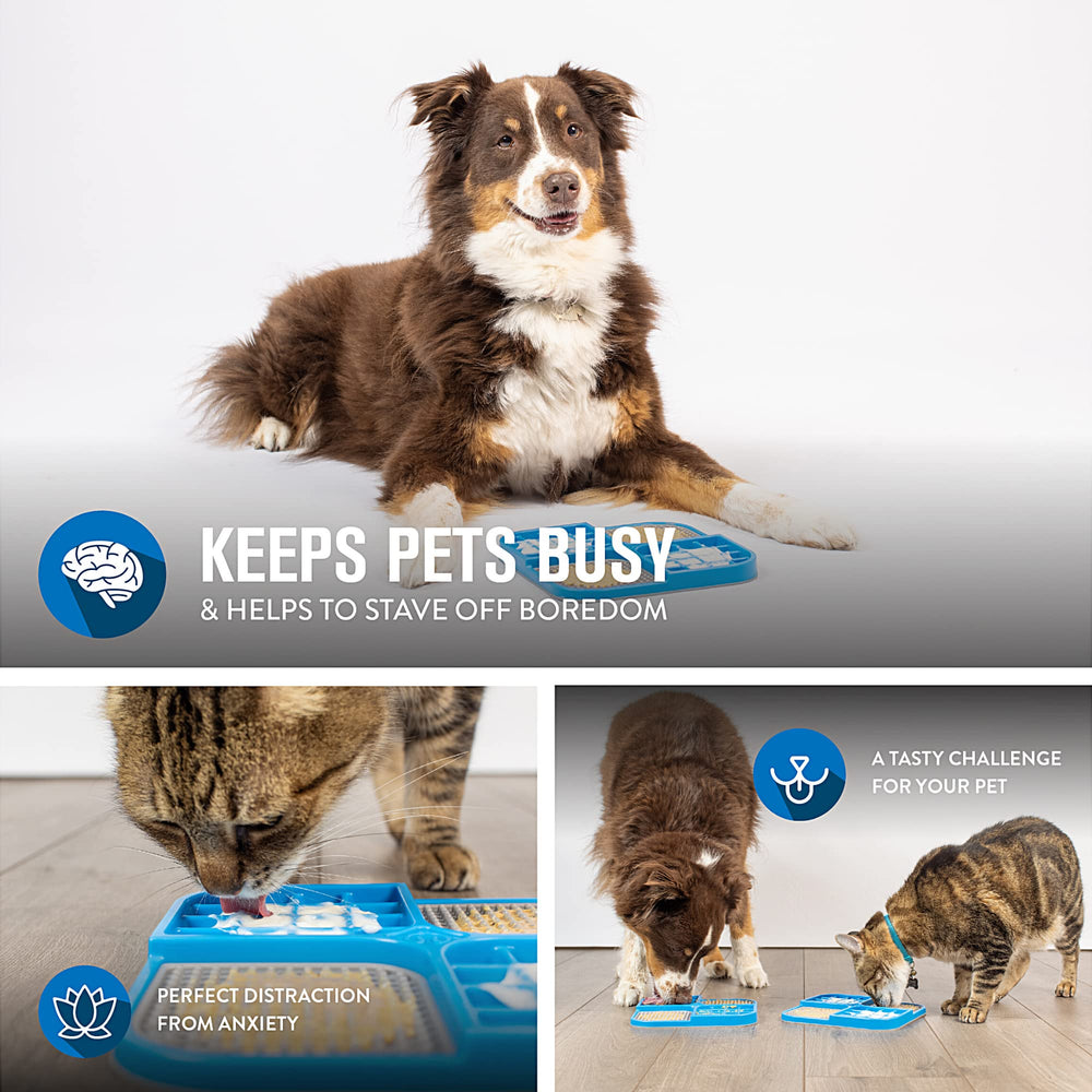 Hyper Pet IQ Treat Lick Mat chien en utilisation, ralentit l'alimentation et entretient l'activité.
