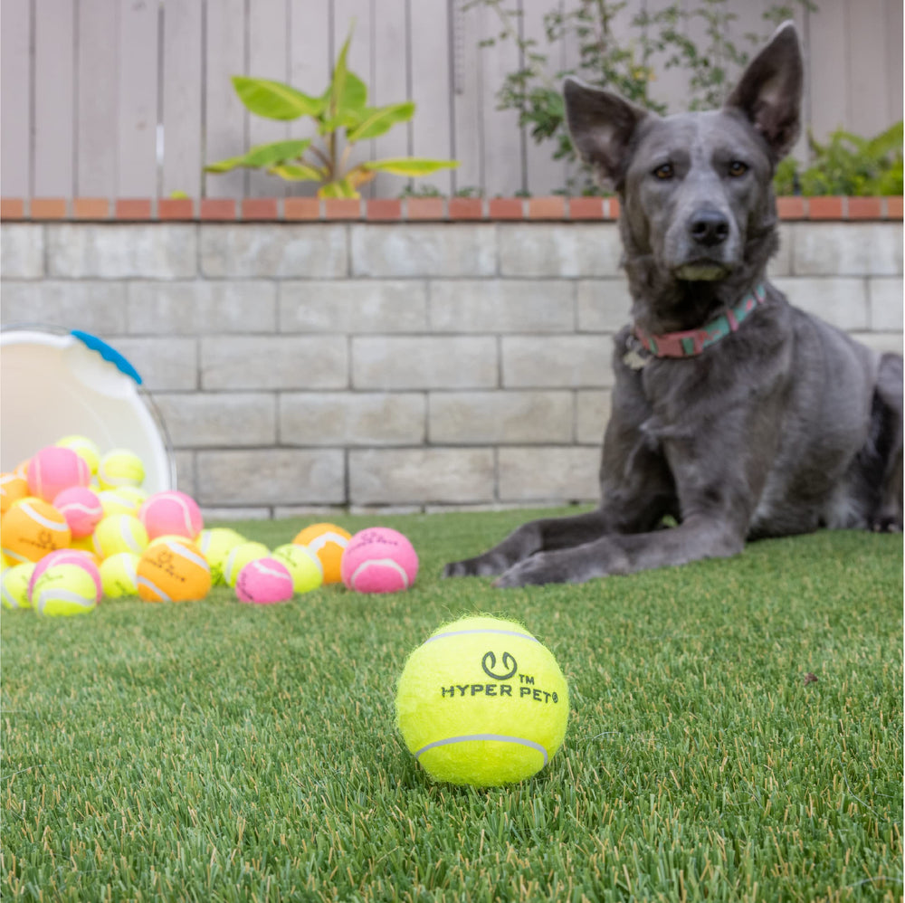 Lanceur Hyper Pet Kannon K2 prêt à lancer les balles