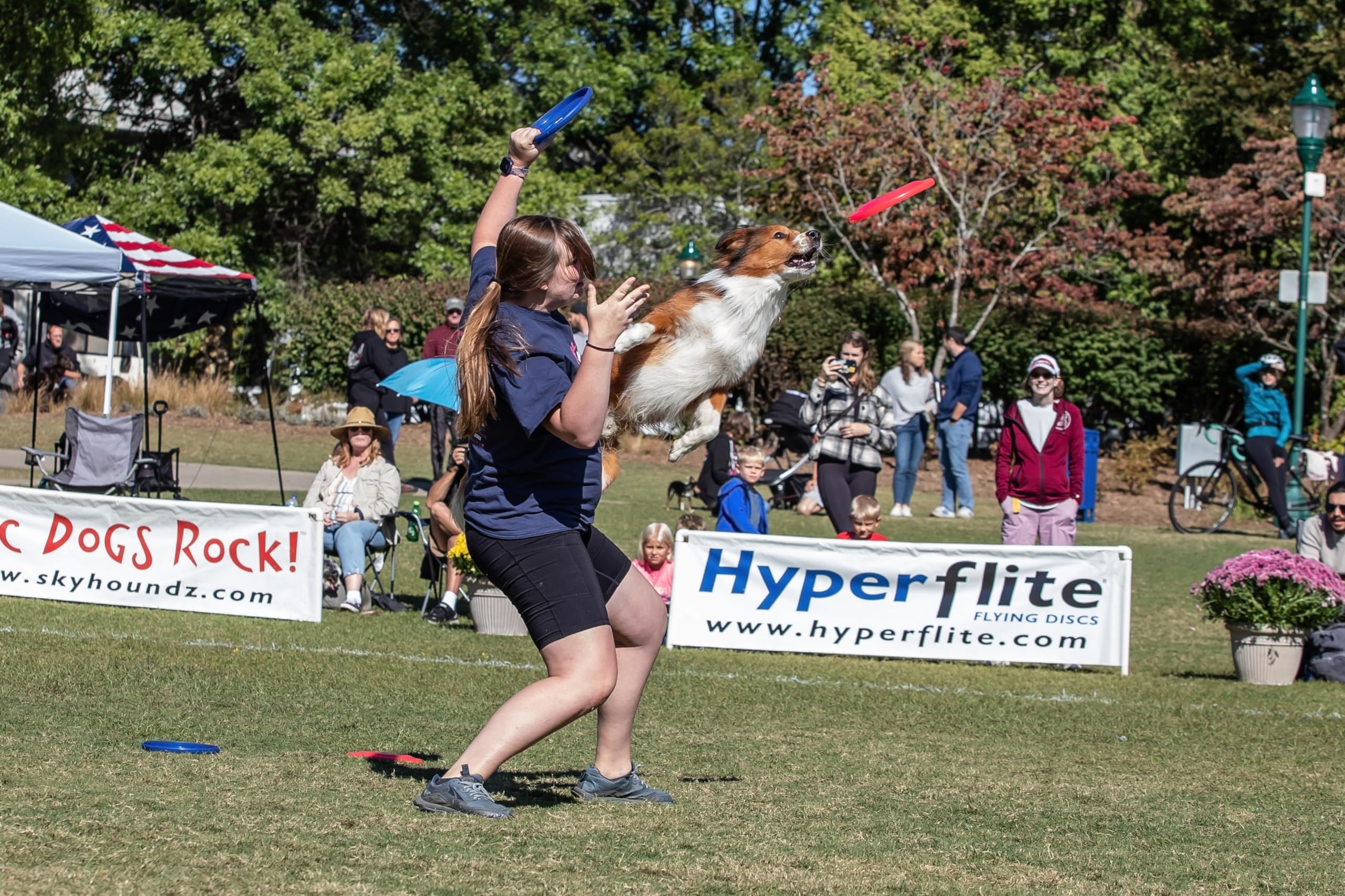 Conçu par des champions mondiaux pour des sessions de disc canin