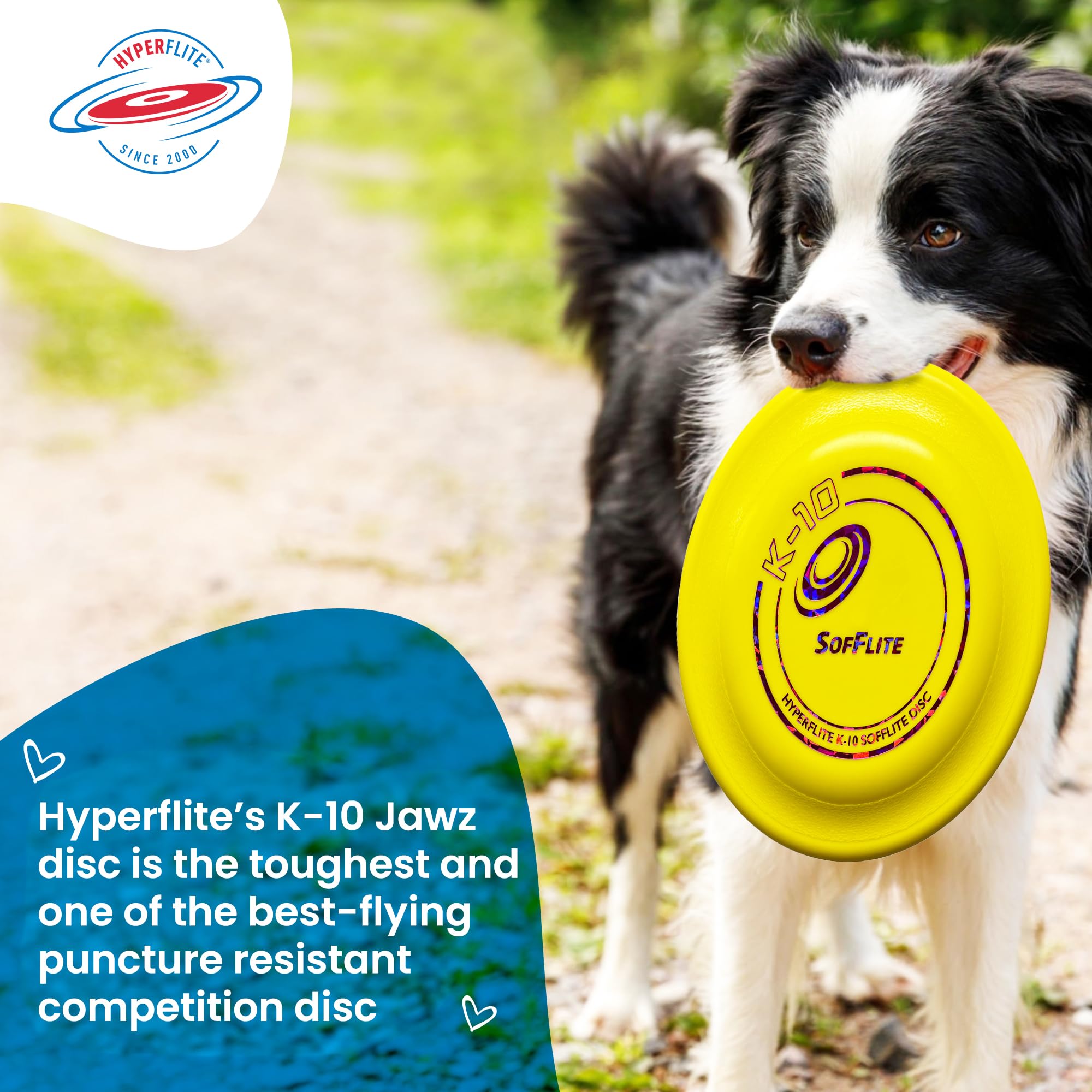 Disque Hyperflite K-10 SofFlite de taille moyenne à grande pour chiens actifs.