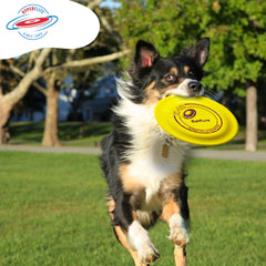 Disque Hyperflite K-10 SofFlite ultra doux pour chiens sensibles en douceur.