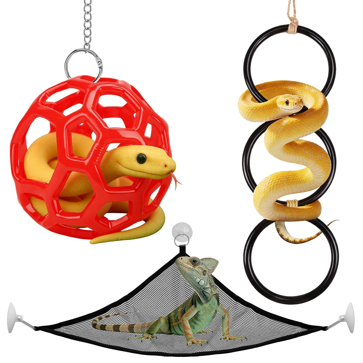 Hysagtek ensemble enrichissement pour pythons boule avec chaîne, exercice et exploration