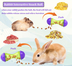 Structure osseuse, balle interactive pour lapins et cochons d’Inde.