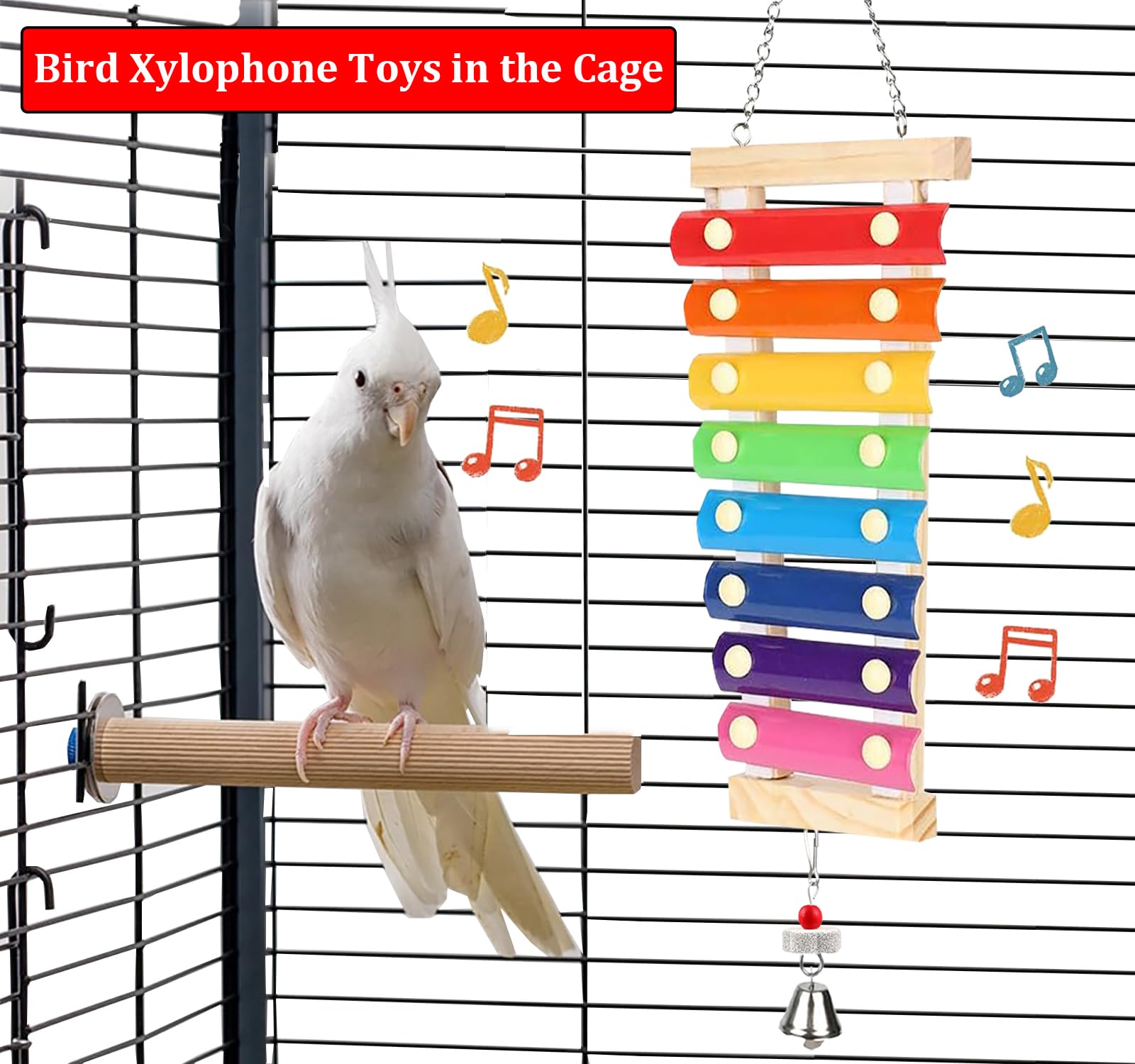 HZAKXIN xylophone pour perroquet avec clés colorées, divertissement auditif durable.