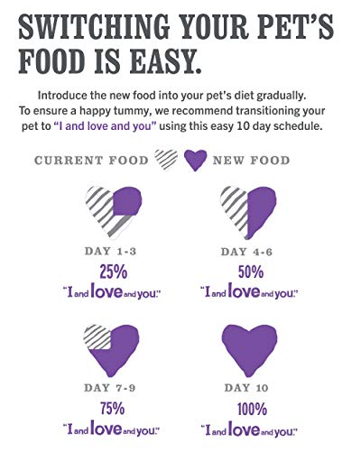 I AND LOVE AND YOU – chat, repas équilibré et satisfaisant à chaque service.