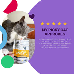 Formule sans céréales Feed Meow Boost, adaptée à une alimentation sans grains.
