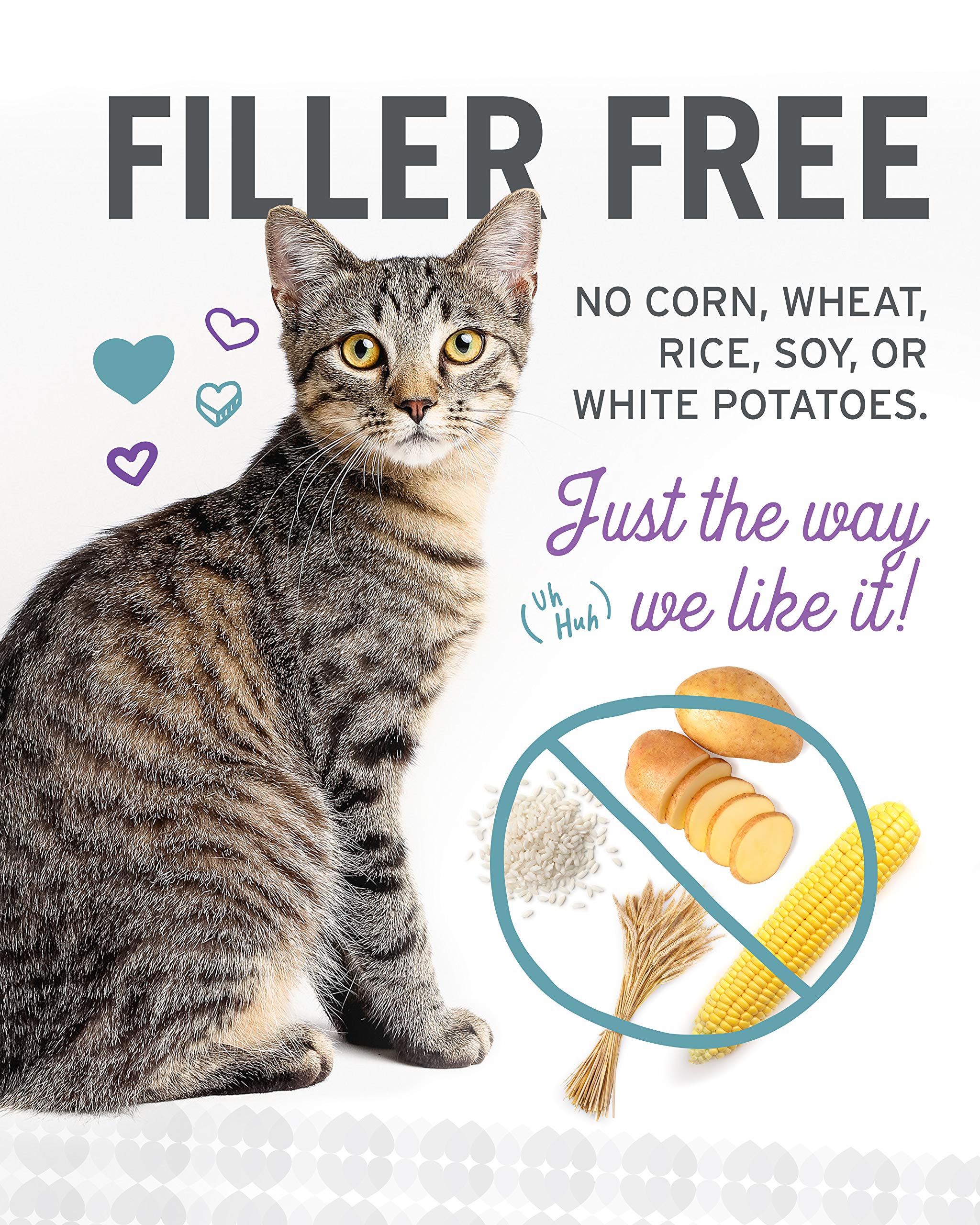 I and love and you Ninja Cat Jiu Jit Stew Sans remplissage — pur et nutritif pour chat.