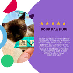 I AND LOVE AND YOU Treat Meow – chat apprecie la purée enrichie en protéines naturelles.