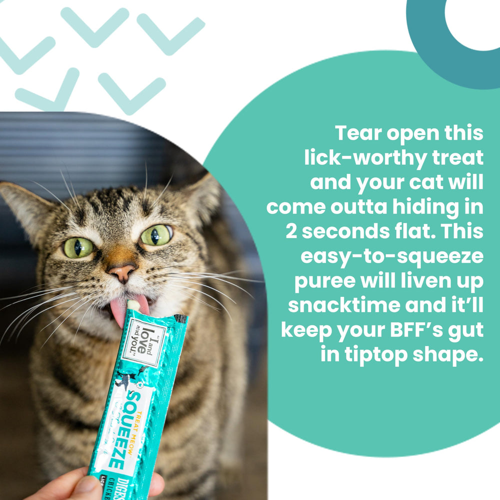 I AND LOVE AND YOU Treat Meow – pack variété 12 sachets facile à ranger.