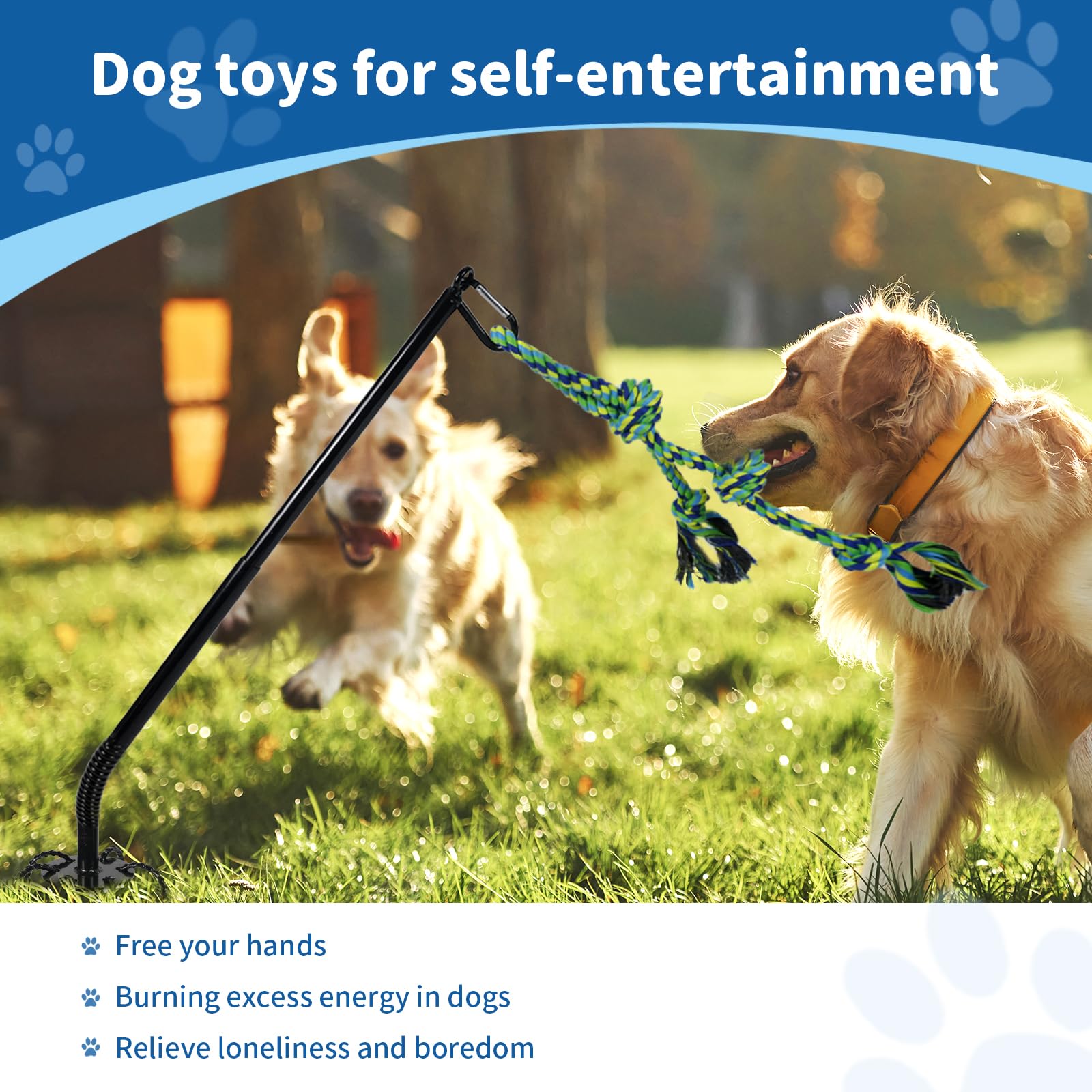 IAIGOGO jouet chien plein air durable pour jeux autonomes.