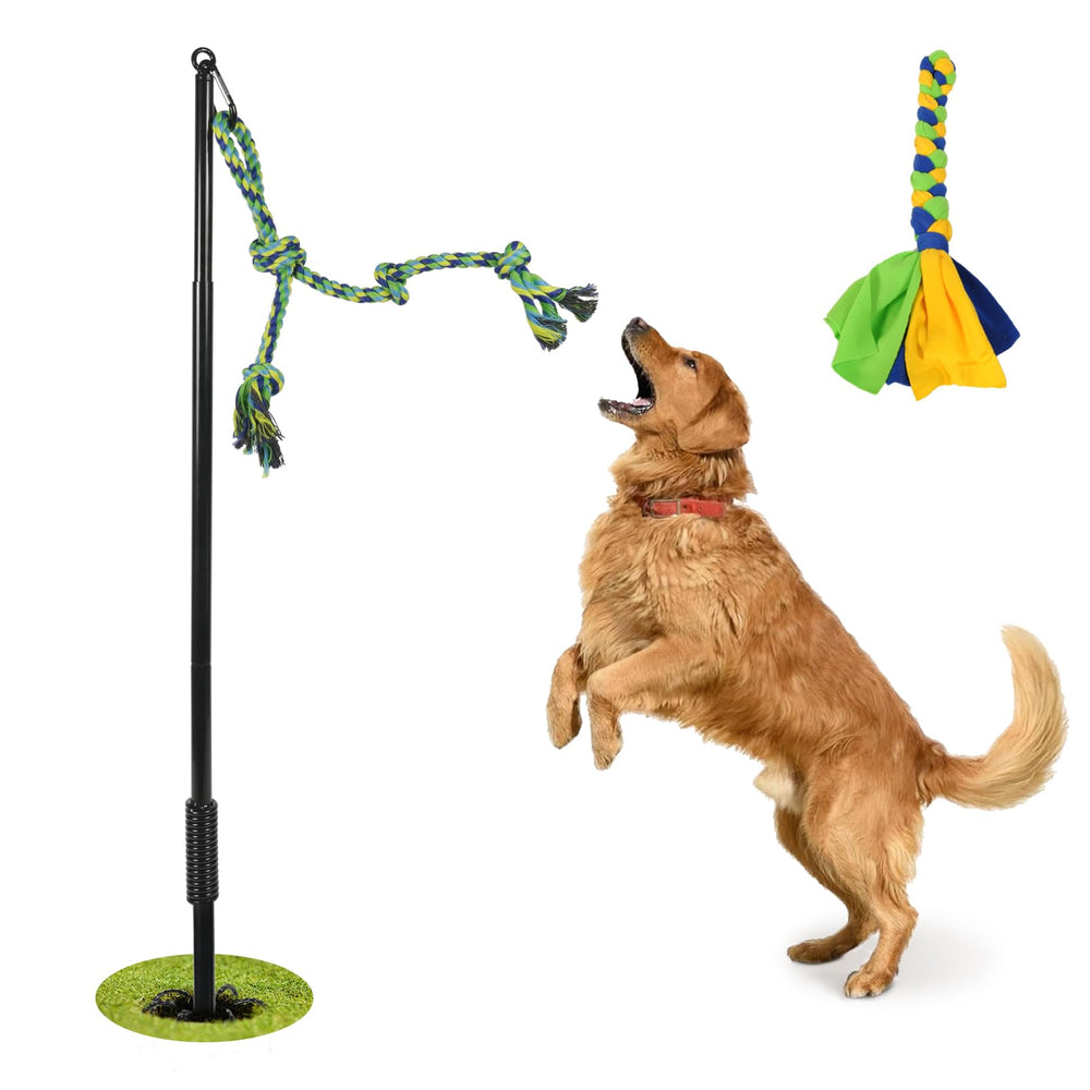 IAIGOGO jouet chien plein air interactif tirage pour stimulation et exercice.