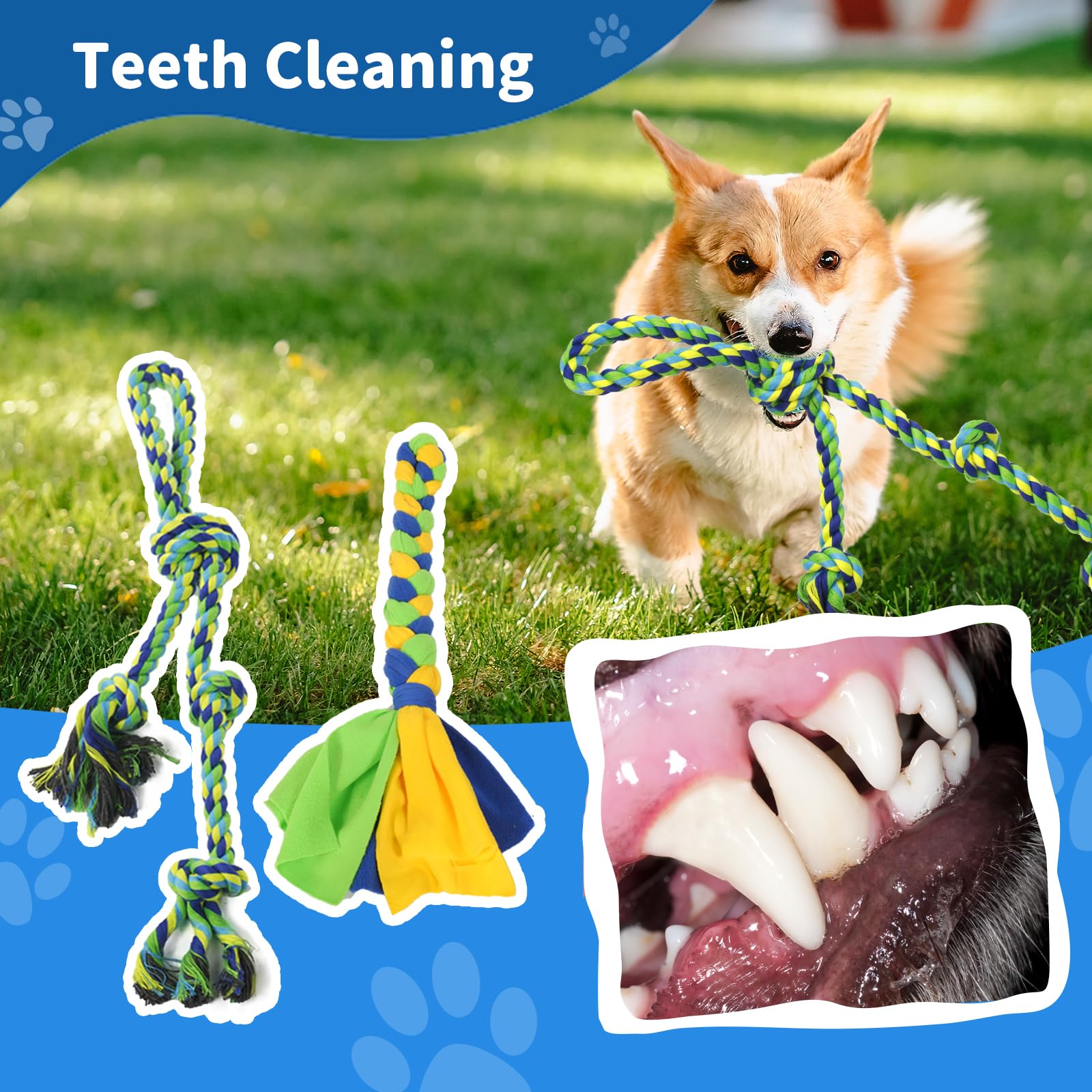 IAIGOGO montage rapide sur pelouse pour jeux canins faciles.