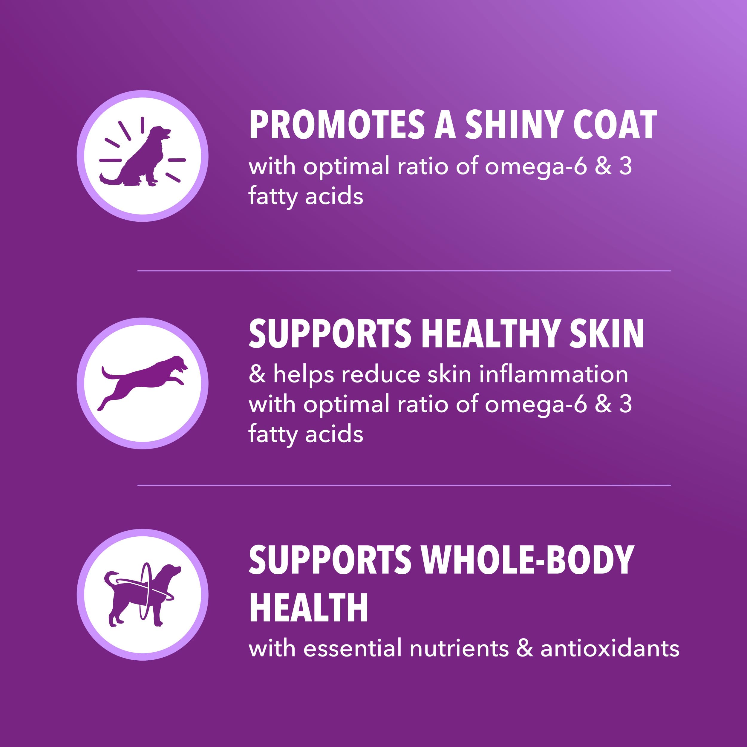 Céréales complètes utilisées dans IAMS Advanced Health Skin Coat