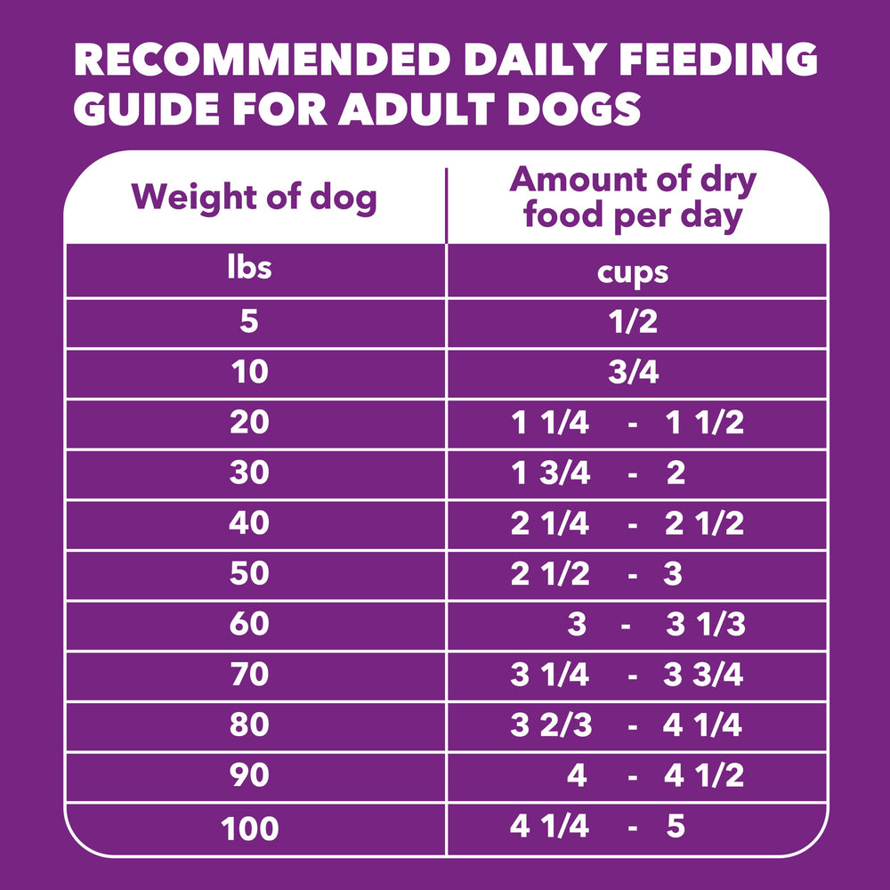 IAMS Advanced Health Skin & Coat: idéal pour chiens adultes actifs nécessitant une nutrition complète.