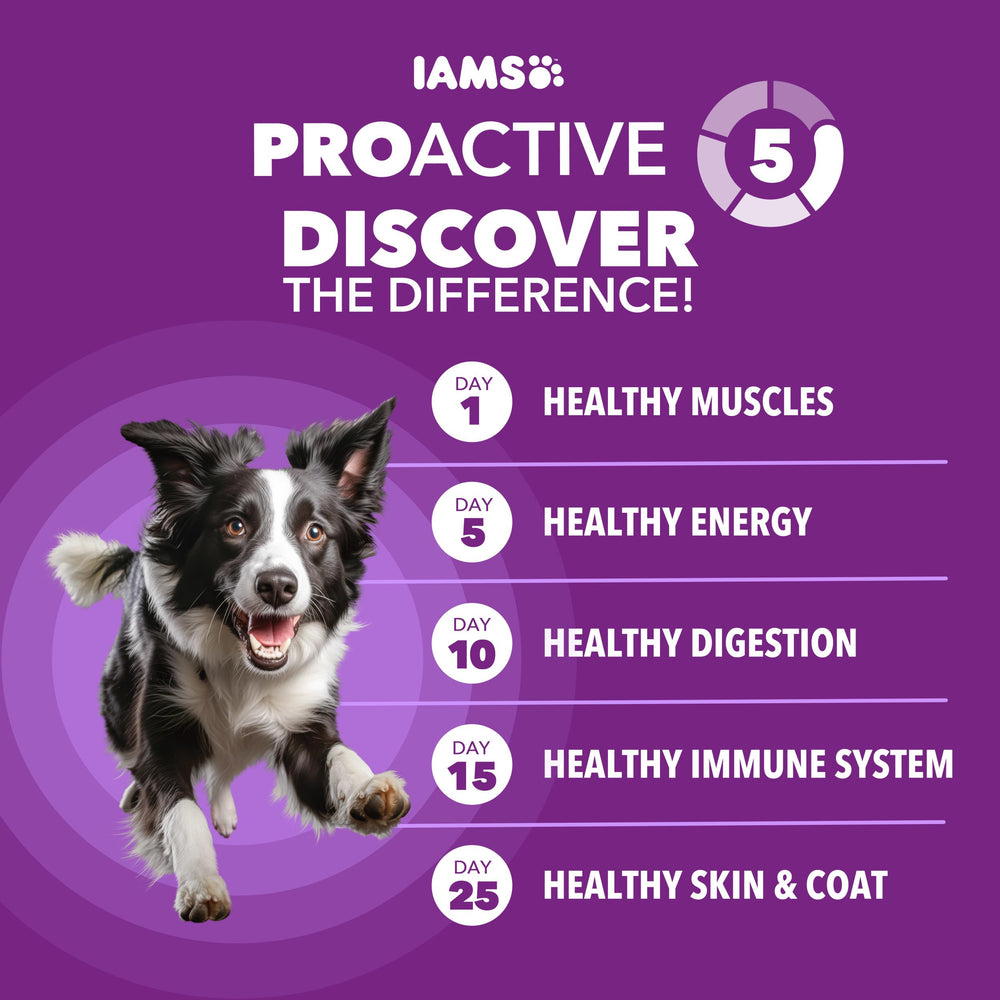 Ingrédients poulet et saumon dans la formule IAMS Skin Coat