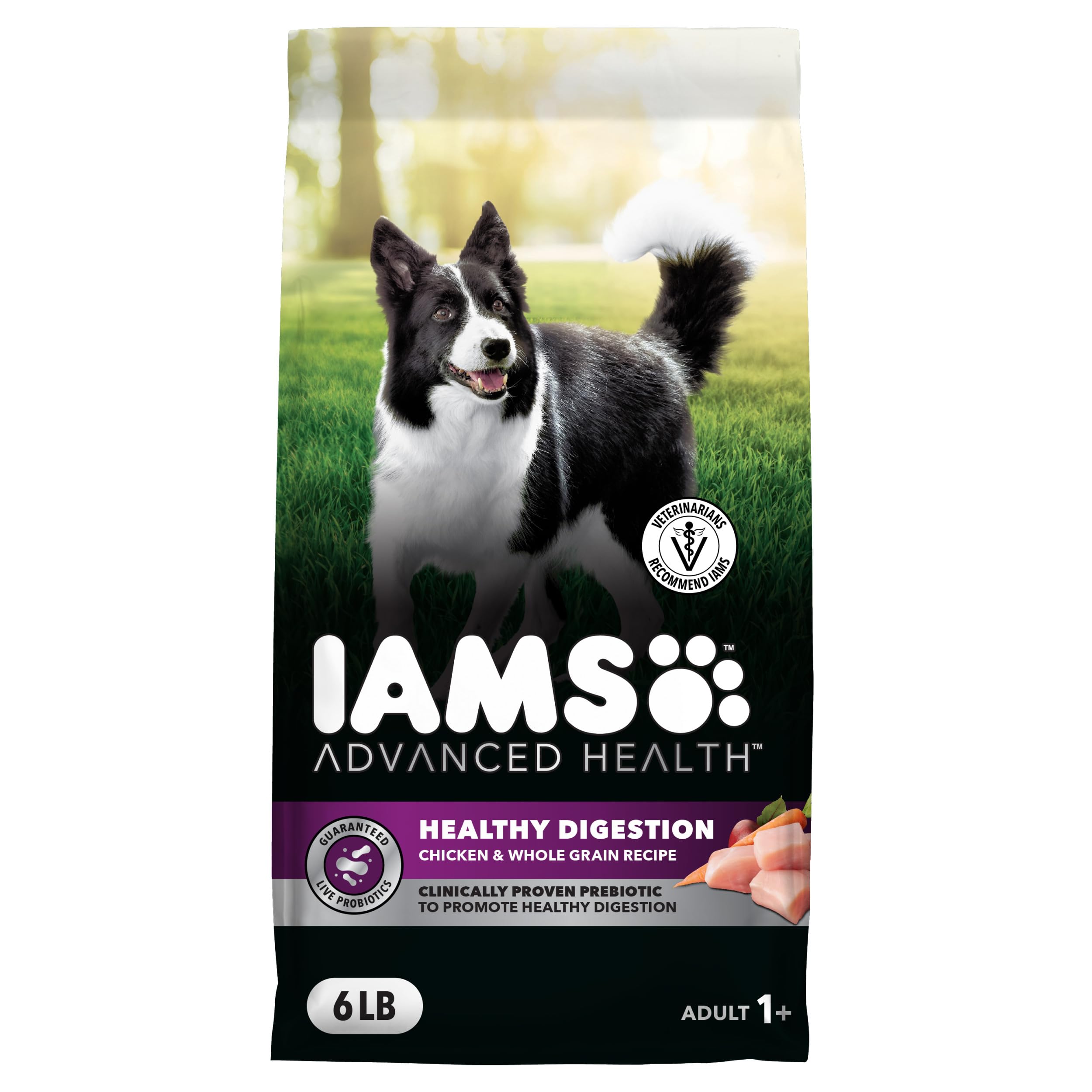 Croquettes IAMS pour digestion saine au poulet réel pour chien adulte