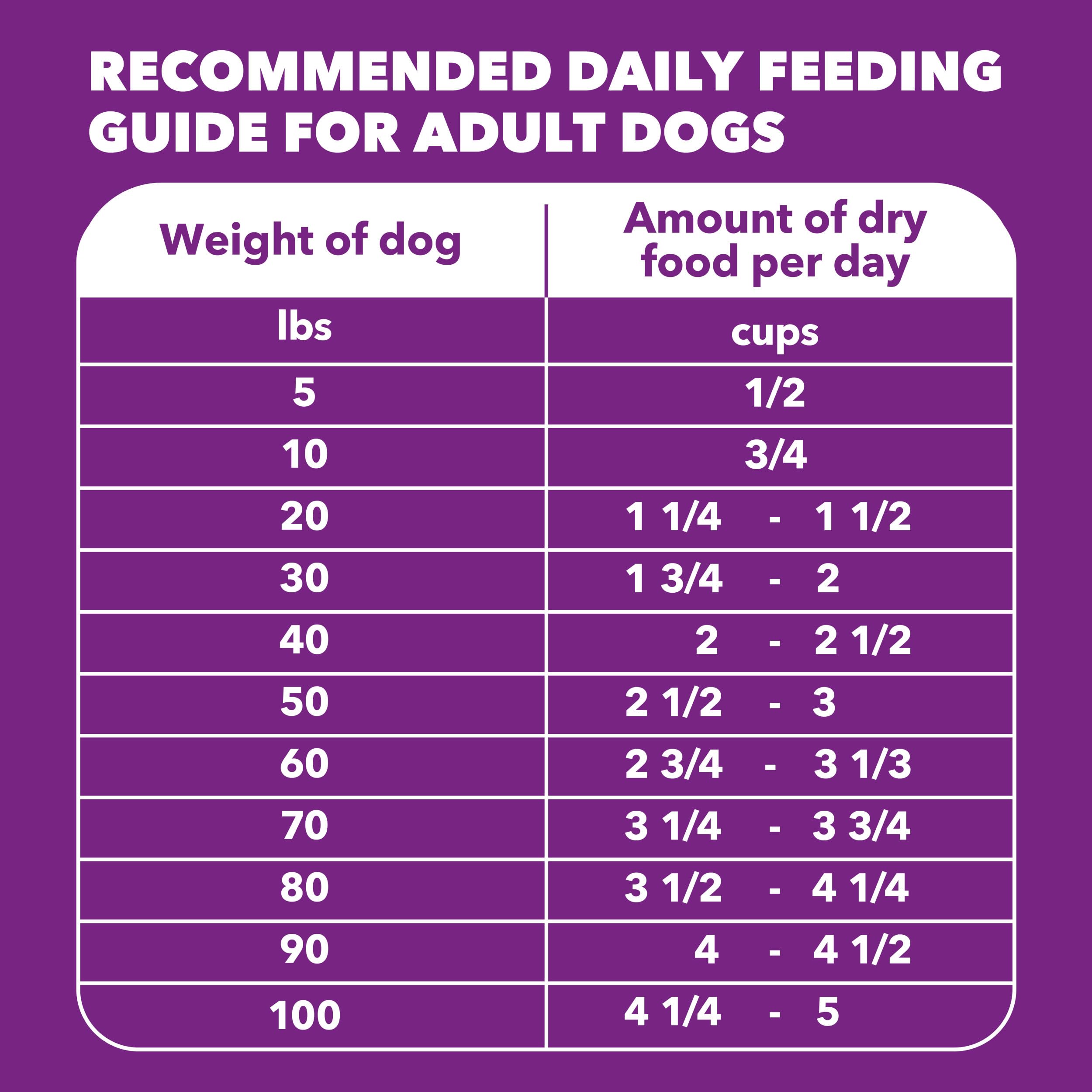 IAMS emballage de 13,5 lb: format pratique et frais