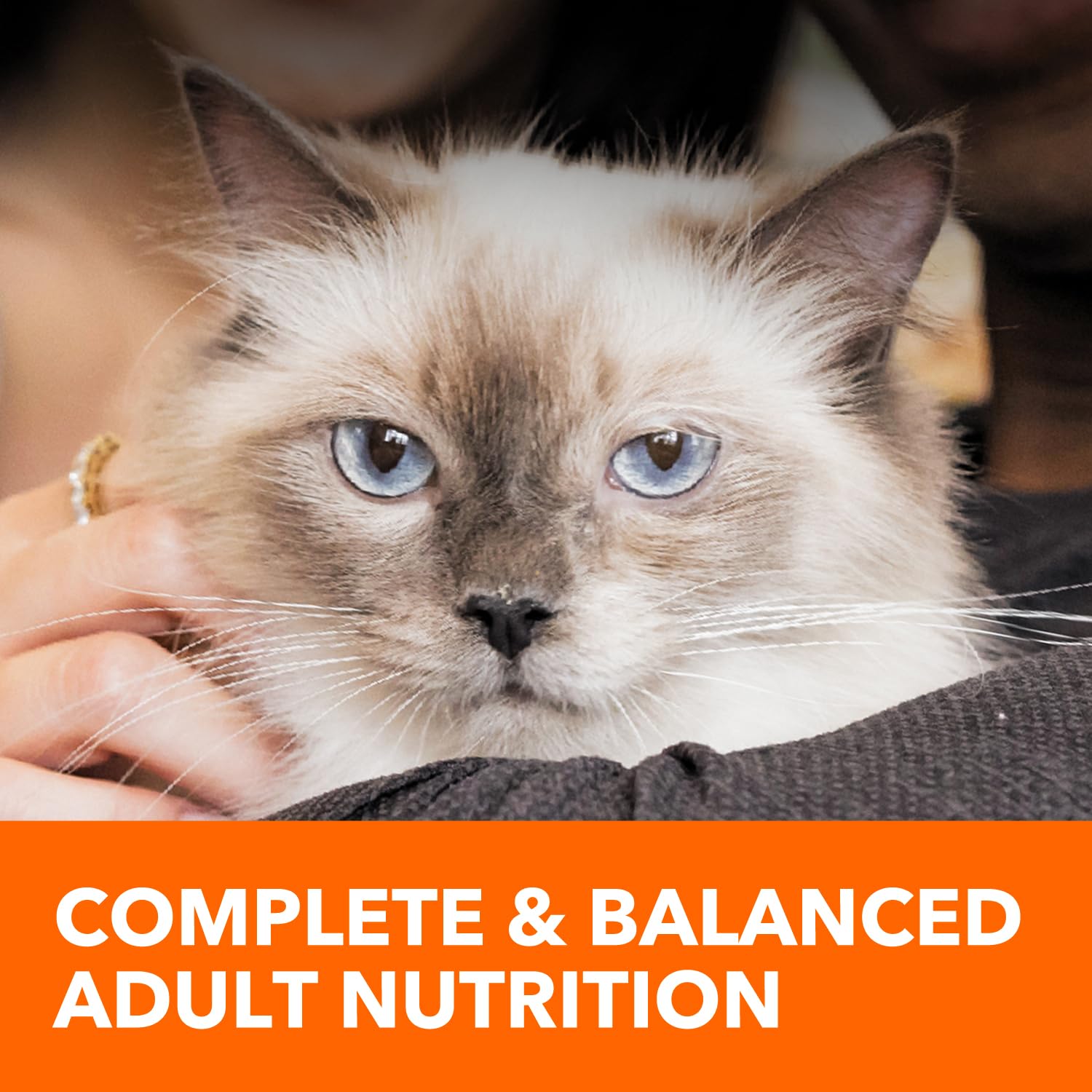 IAMS Healthy Enjoyment antioxydants et nutriments essentiels