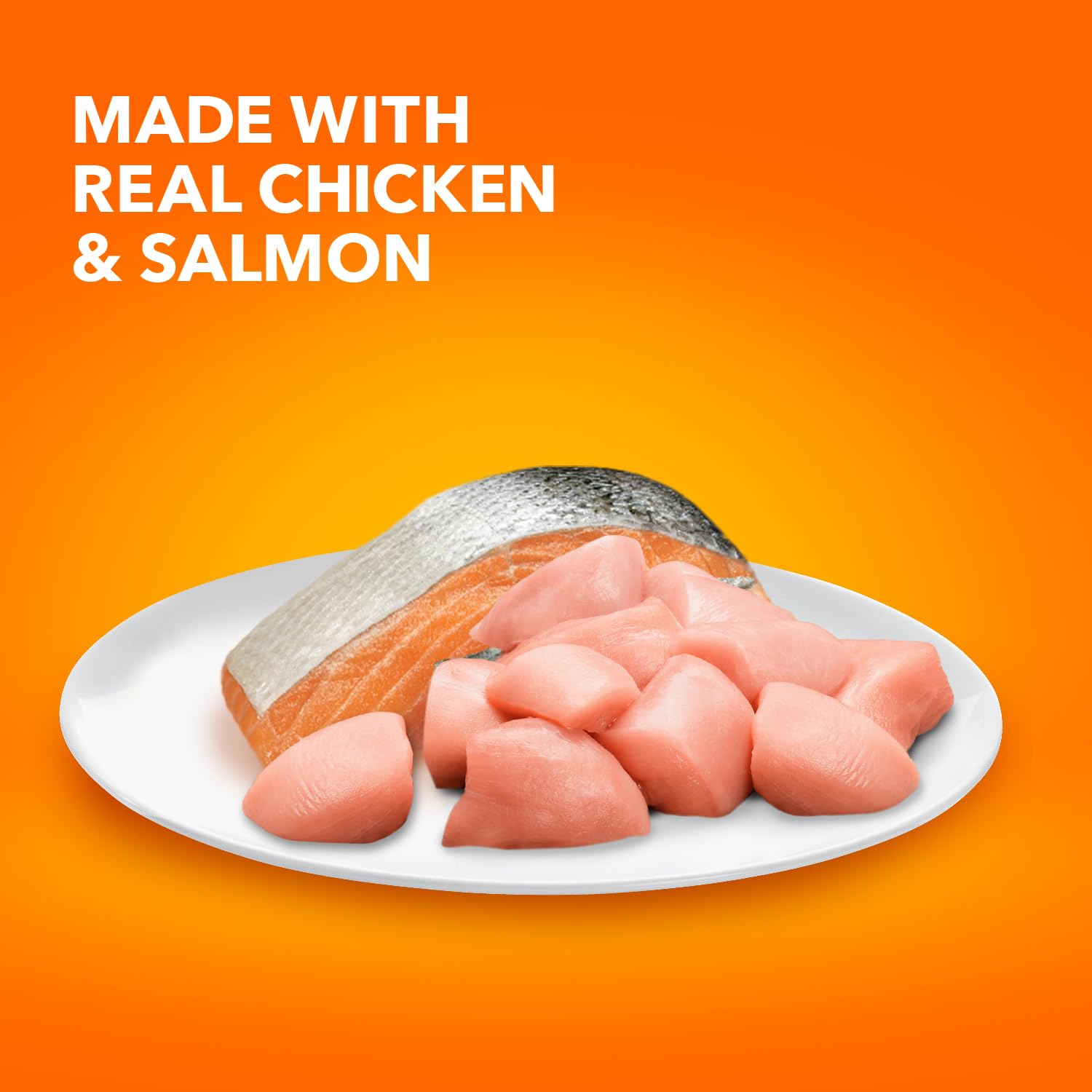 IAMS Healthy Enjoyment bol chat servi croquettes poulet saumon
