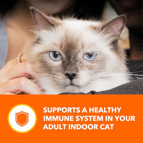IAMS Perfect Portions fabriqué aux États‑Unis avec des ingrédients triés sur le volet.