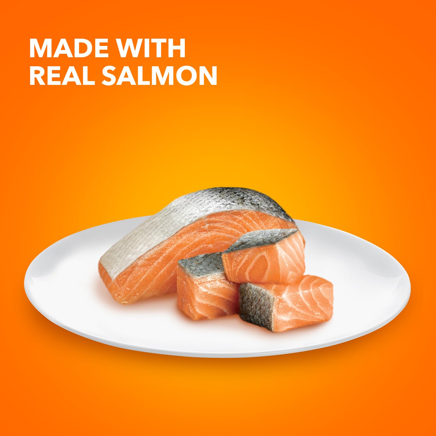 Texture crèmeuse du pâté saumon IAMS, appétit facile