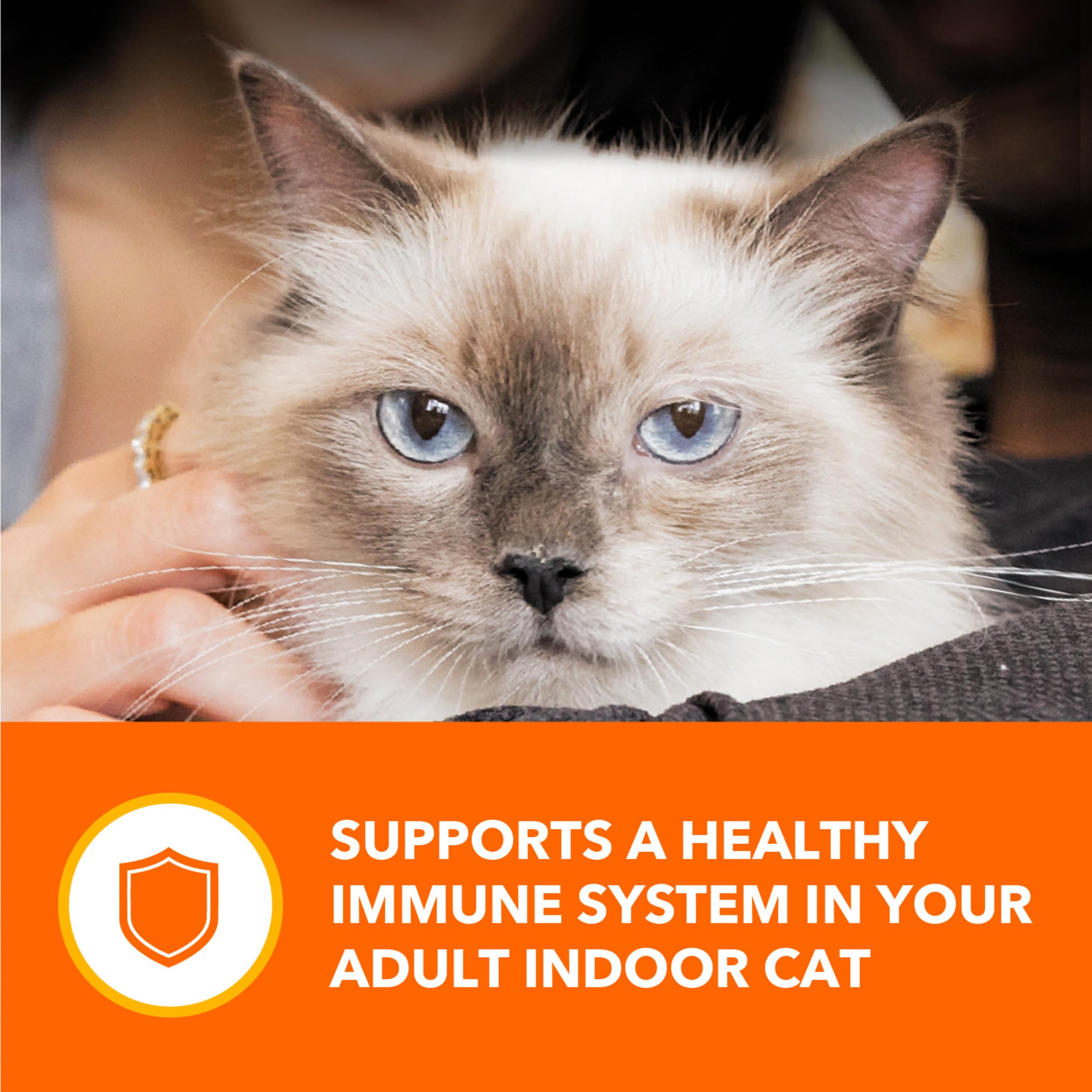 IAMS Perfect Portions vitamine E chat intérieur — soutien potentiel de l'immunité.