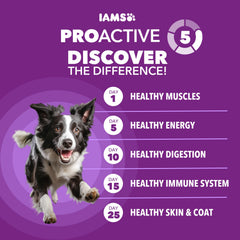 IAMS croquettes poulet: premier ingrédient pour une énergie équilibrée